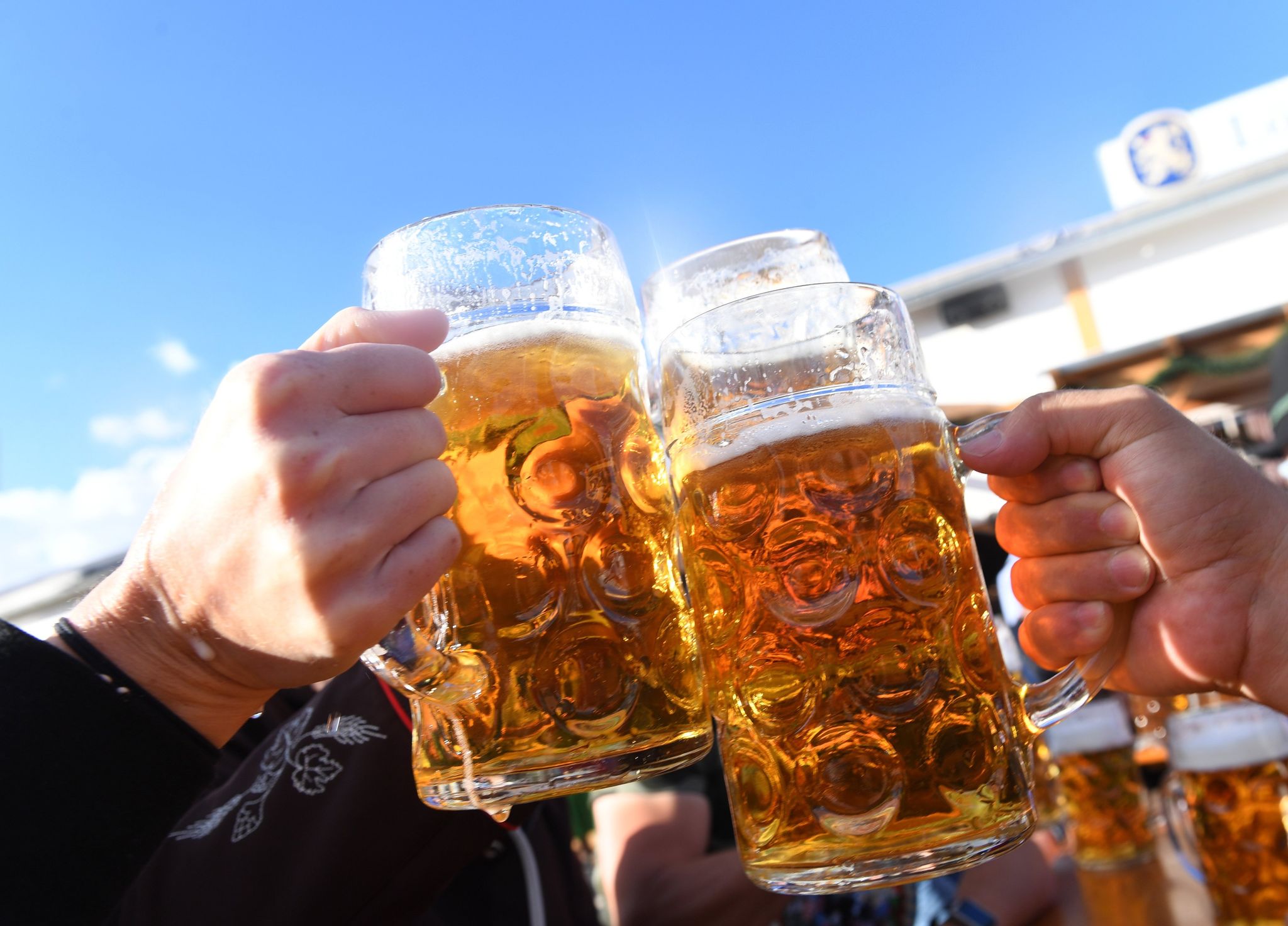 Preiserhöhung auf der Wiesn: Maß kostet bis zu 15,80 Euro, alkoholfreie Getränke teurer