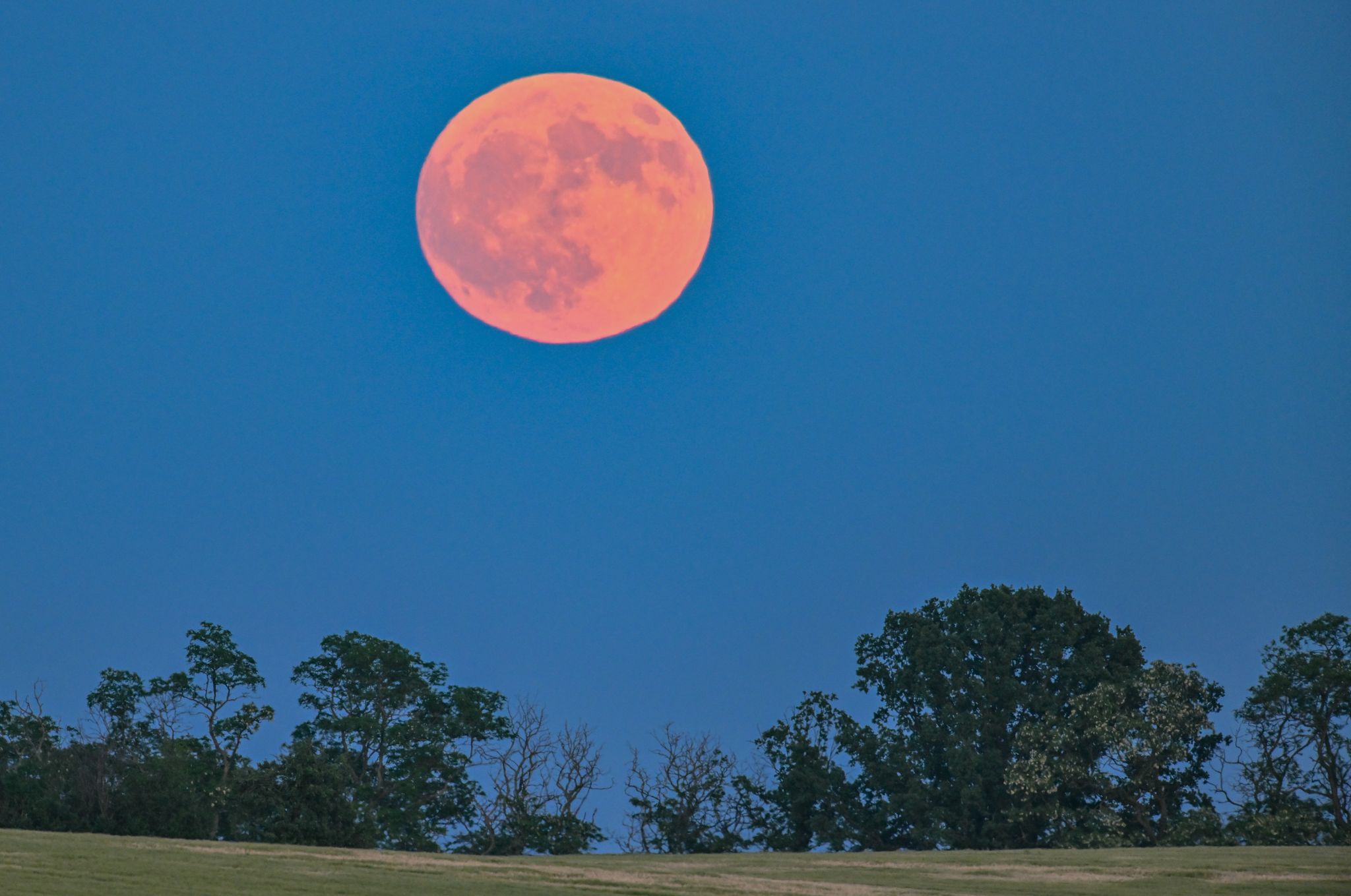 Erdbeermond über Deutschland: Optische Täuschung am Himmel