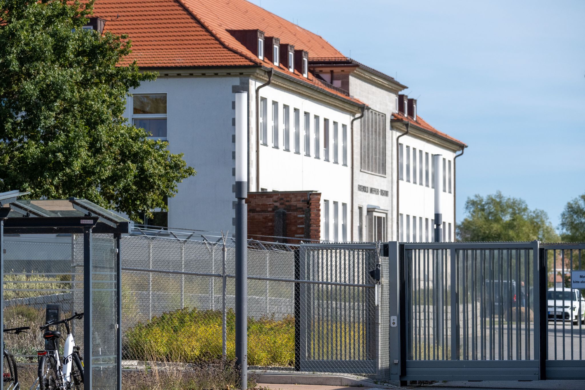 Weitere Stechmücke aus dem Süden erstmals in Deutschland