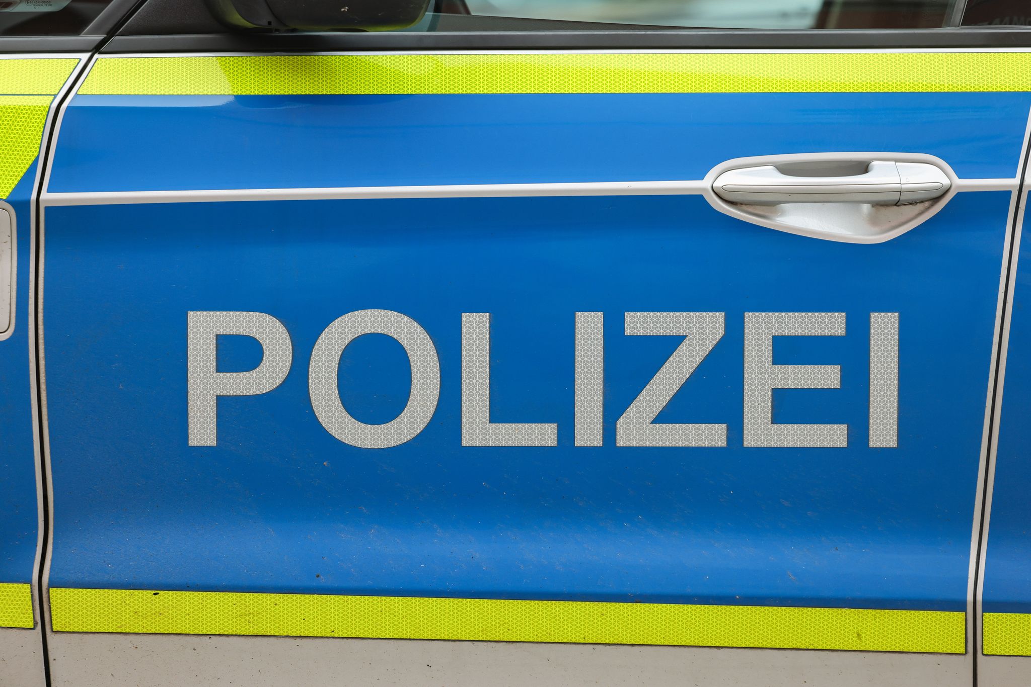 Großkatze im Süden Sachsen-Anhalts gesichtet