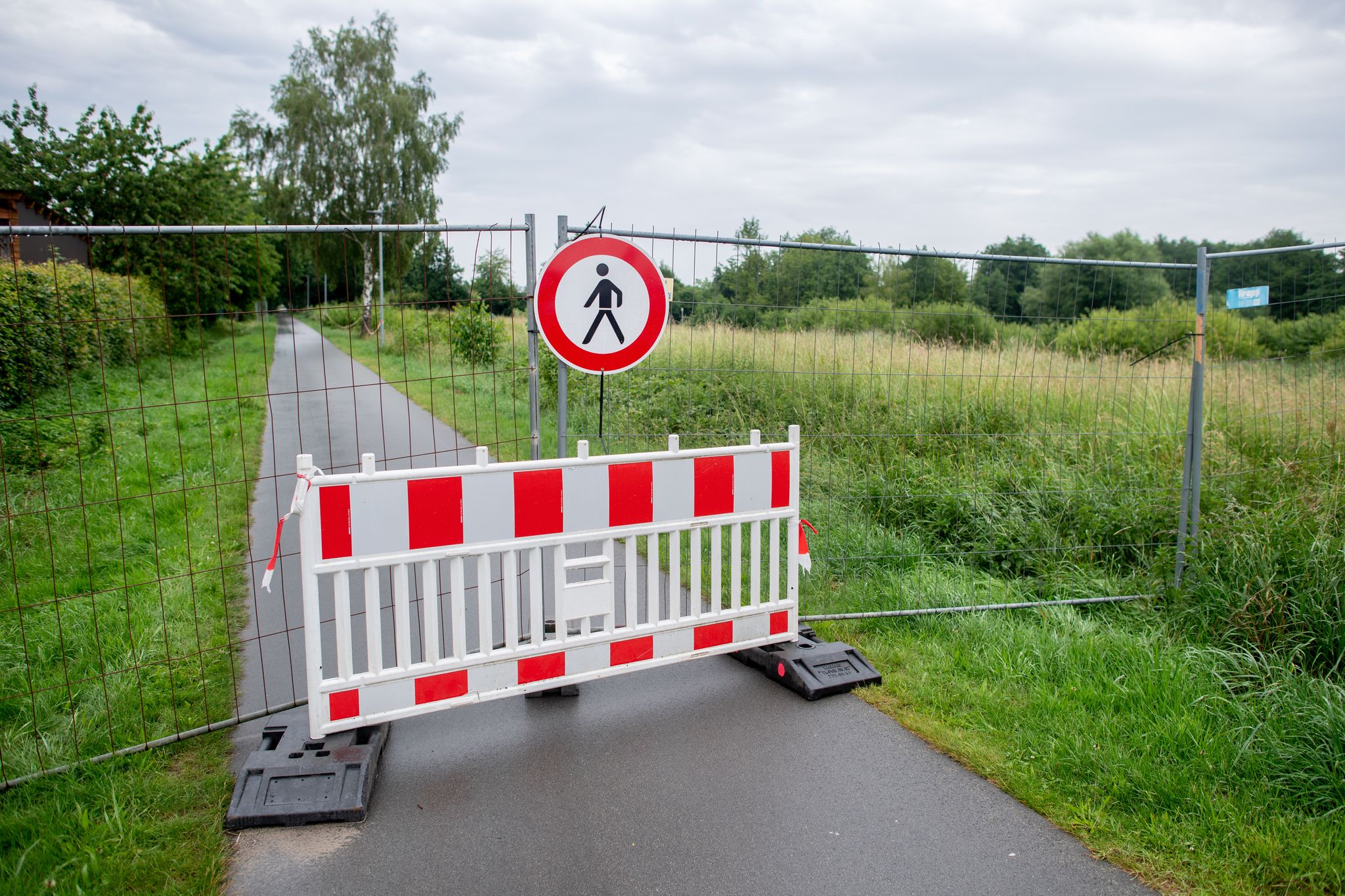Entwarnung: Alligator-Video nicht aus Vechta