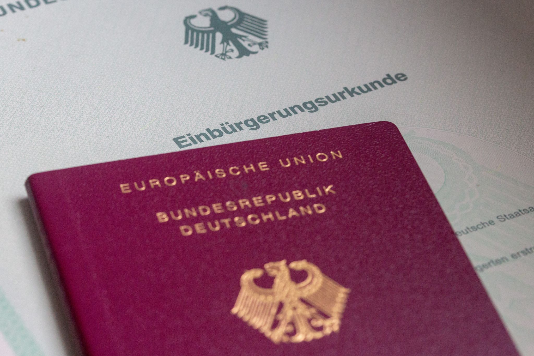 Zahl der Einbürgerungen steigt auf Höchststand