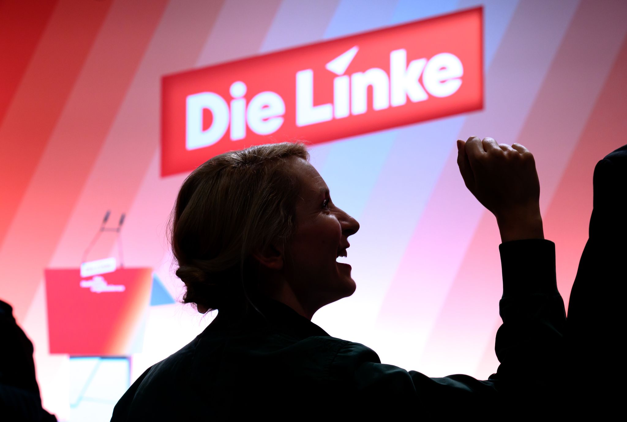 Die Linke erlebt Mitgliederboom und Wandel
