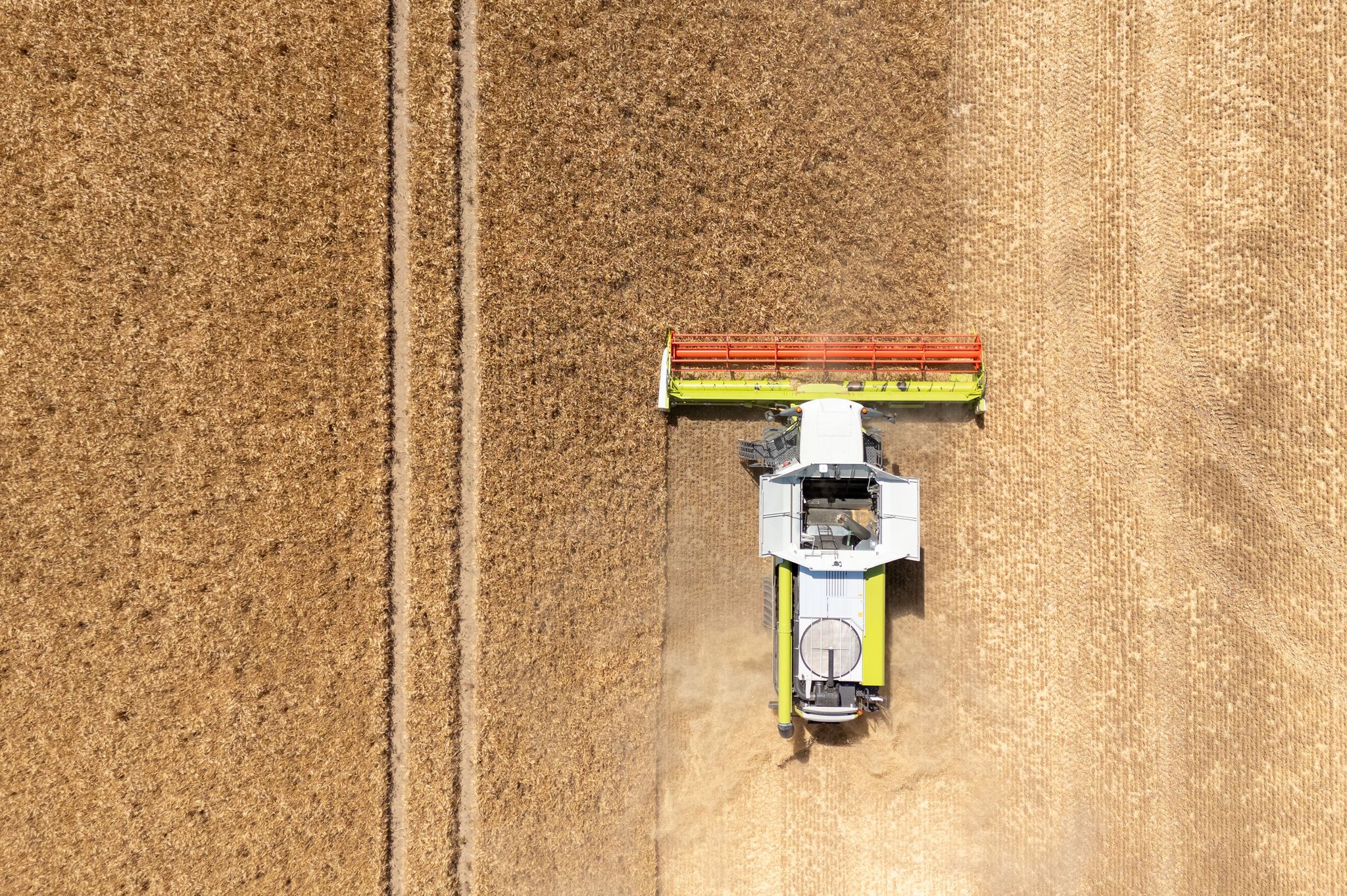 Landwirte hoffen auf normale Ernte nach trockenem Frühjahr