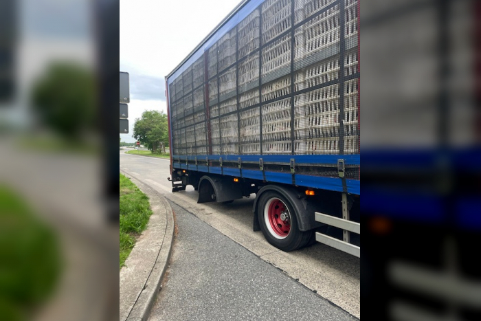 Debstedt: Geflügeltransport stillgelegt