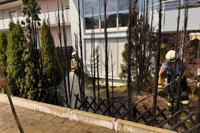 Wahlwies: Feuer in Gartenhecke