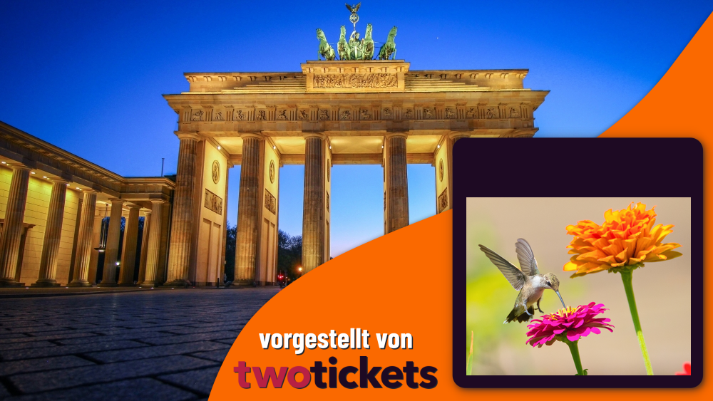 Chor & Gesang in Berlin am 12.07.25: Cantares & Danzas