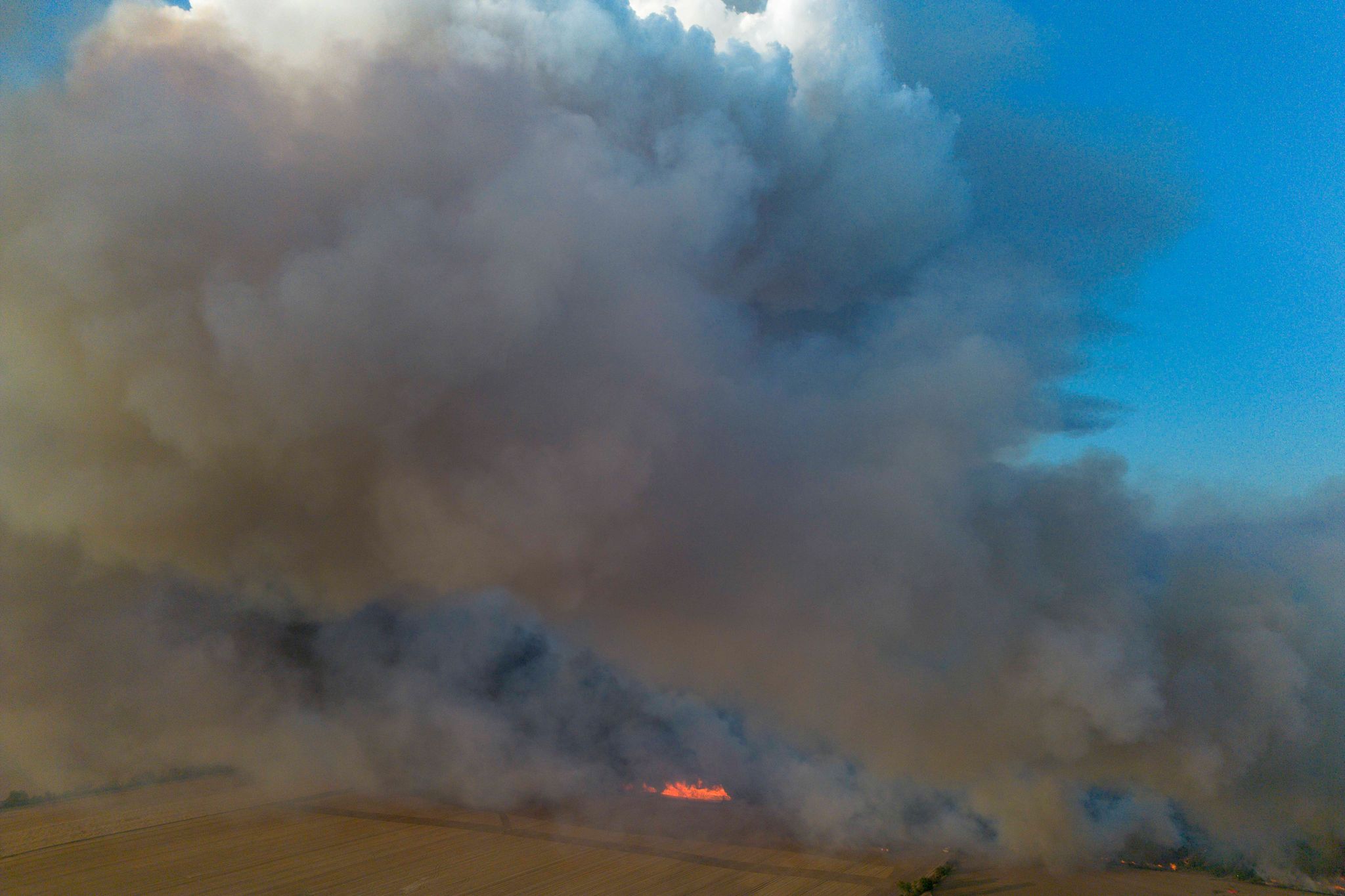 Feuerwehren kämpfen gegen Waldbrände im Osten Deutschlands