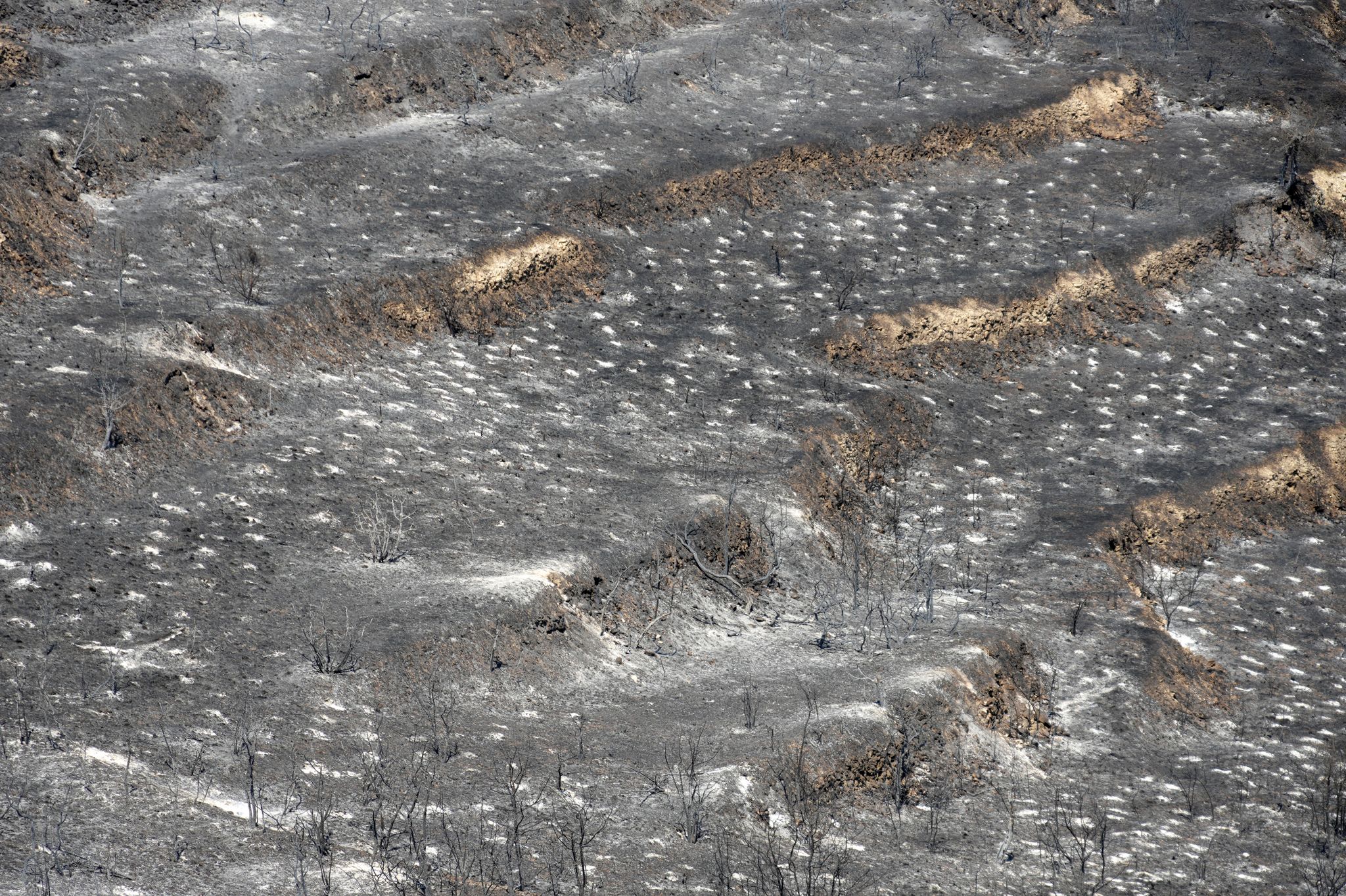 120 Quadratkilometer Fläche auf Zypern verbrannt