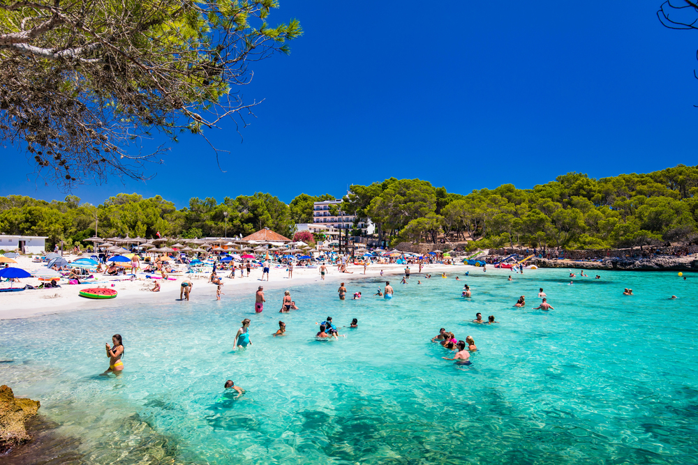 Mysteriöse Krankheit breitet sich auf Mallorca aus