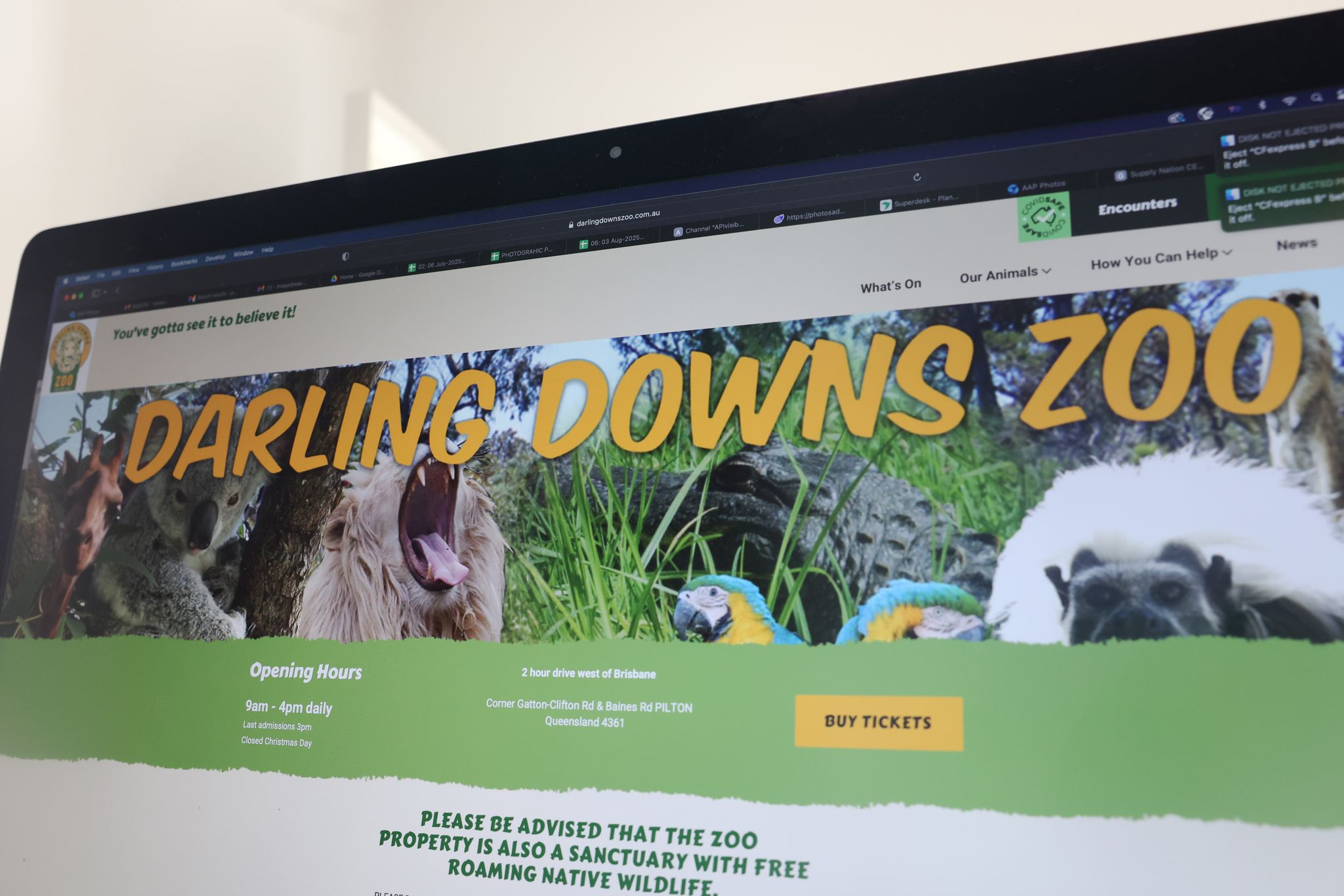 Löwen-Angriff in australischem Zoo: Frau verliert Arm
