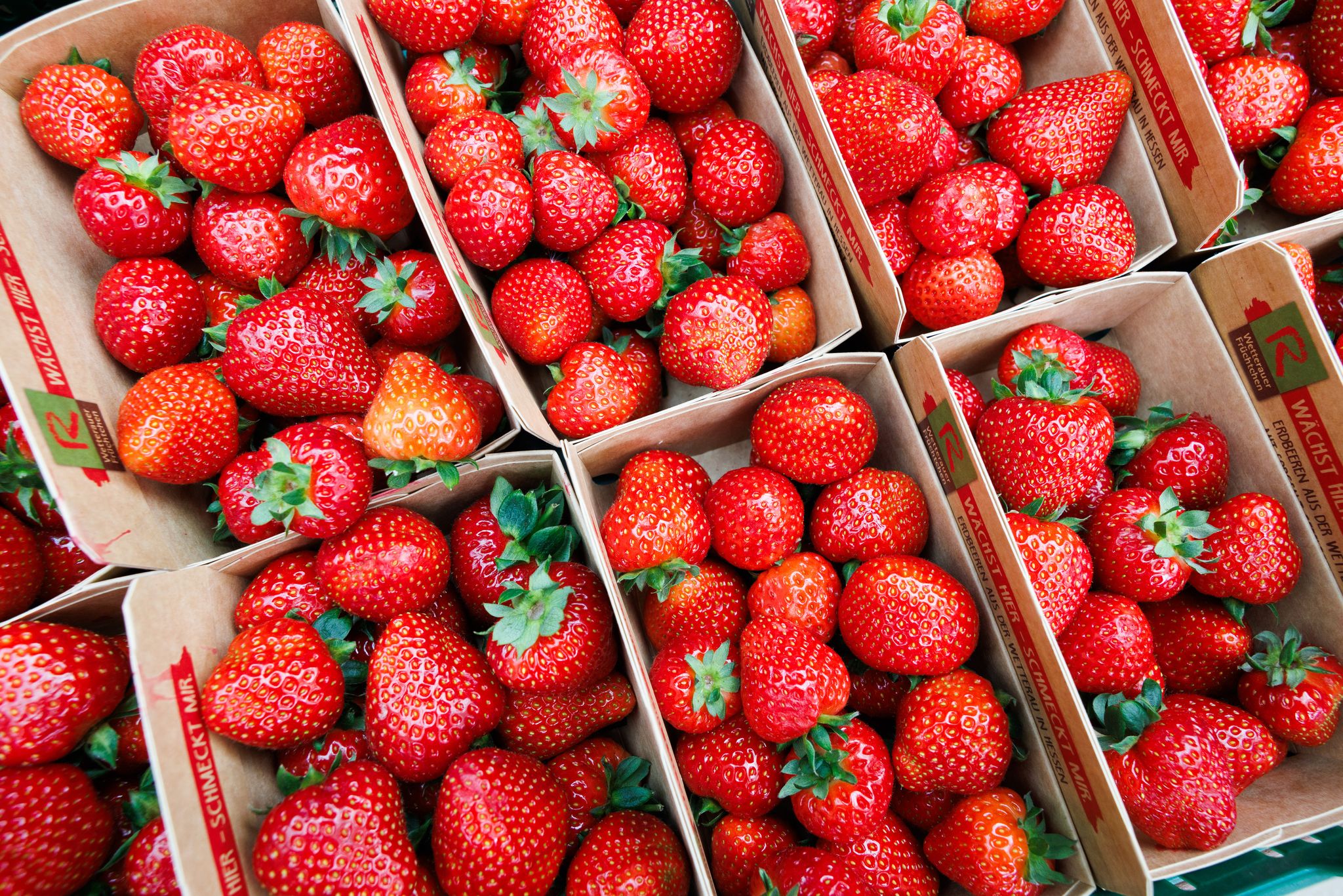 Erdbeeren und Spargel aus Deutschland bald zu teuer?