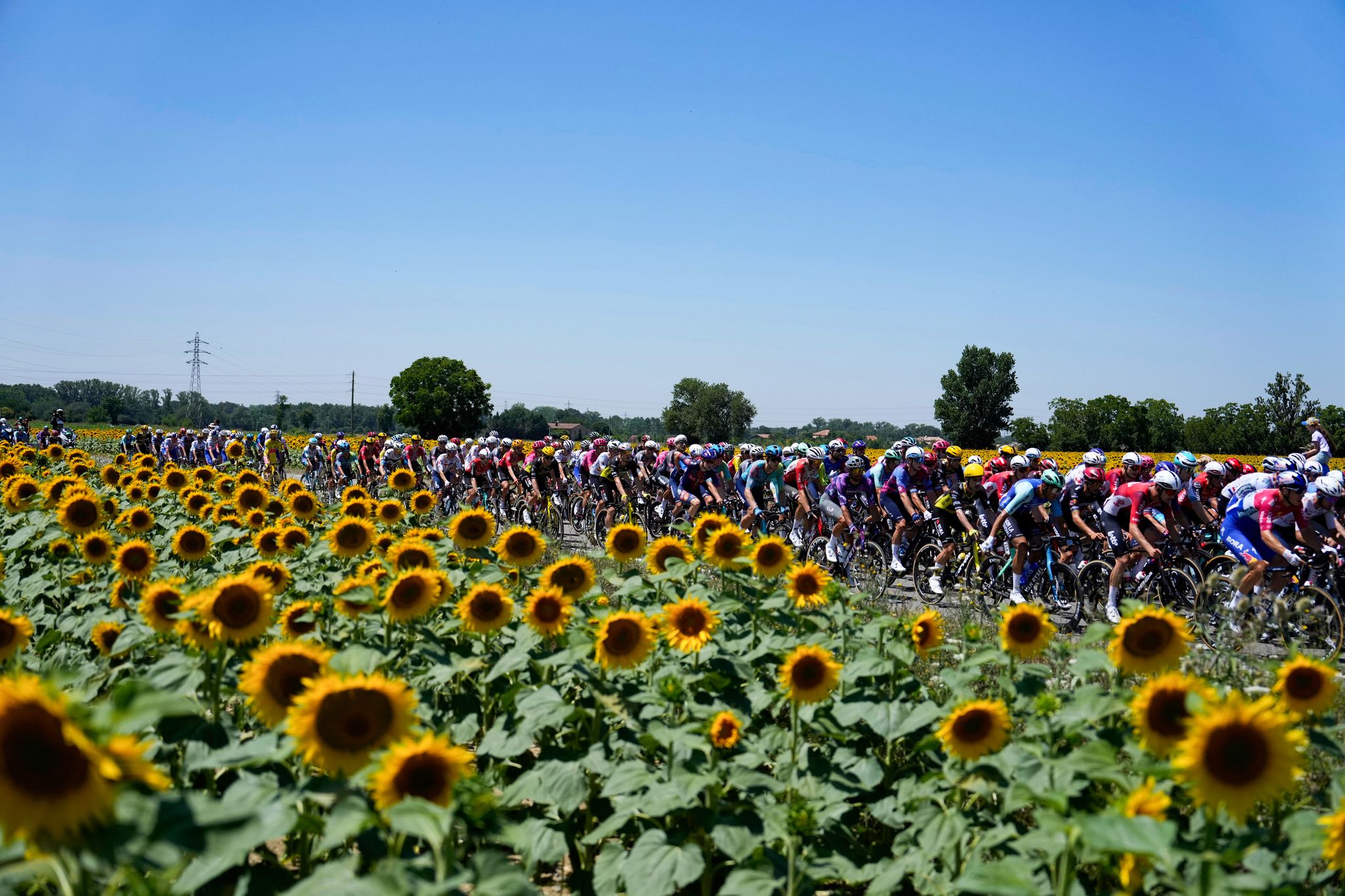 Van der Poel scheitert erneut an Etappensieg bei Tour de France
