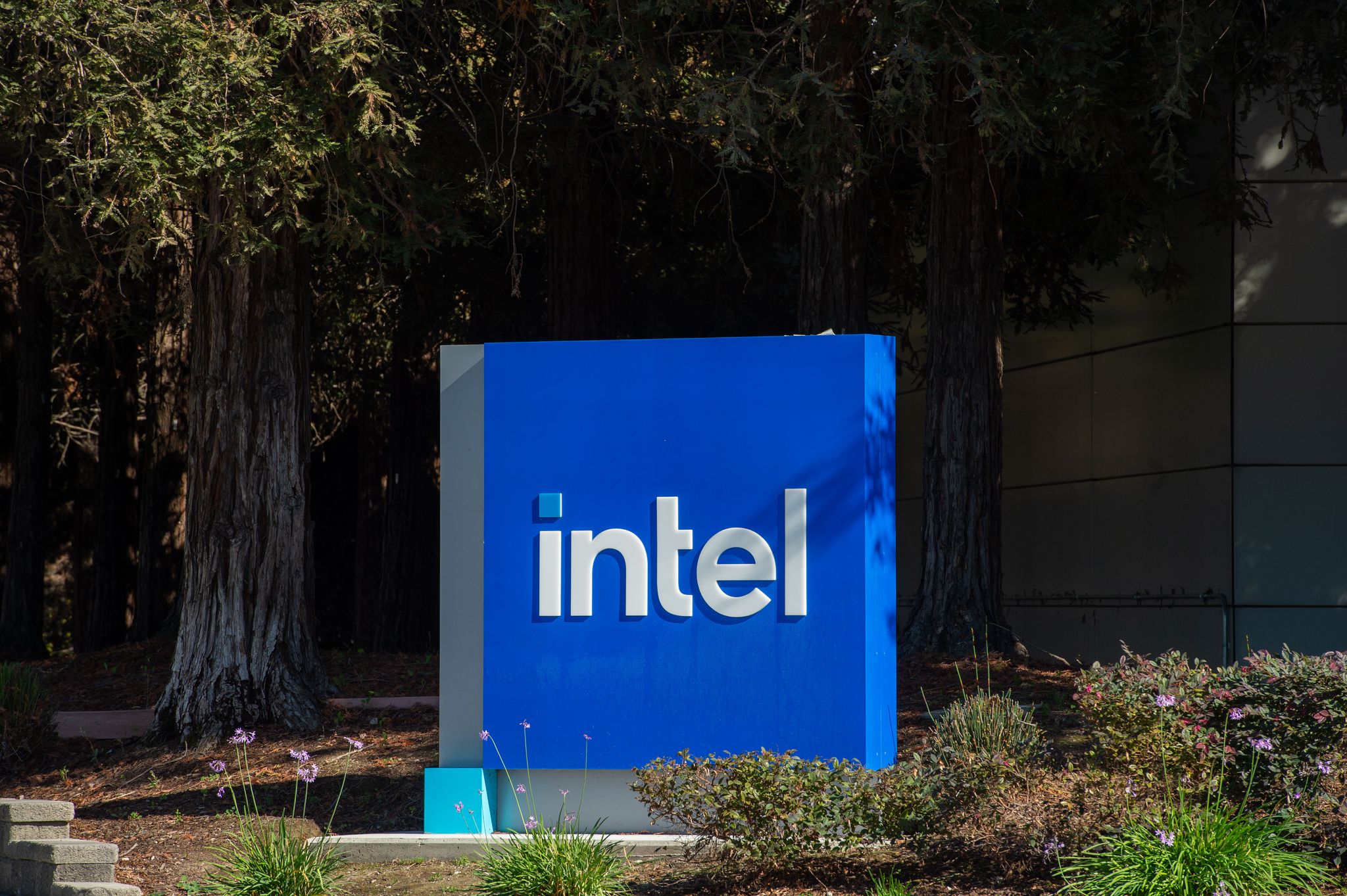 Intel stoppt Milliardenprojekt in Magdeburg