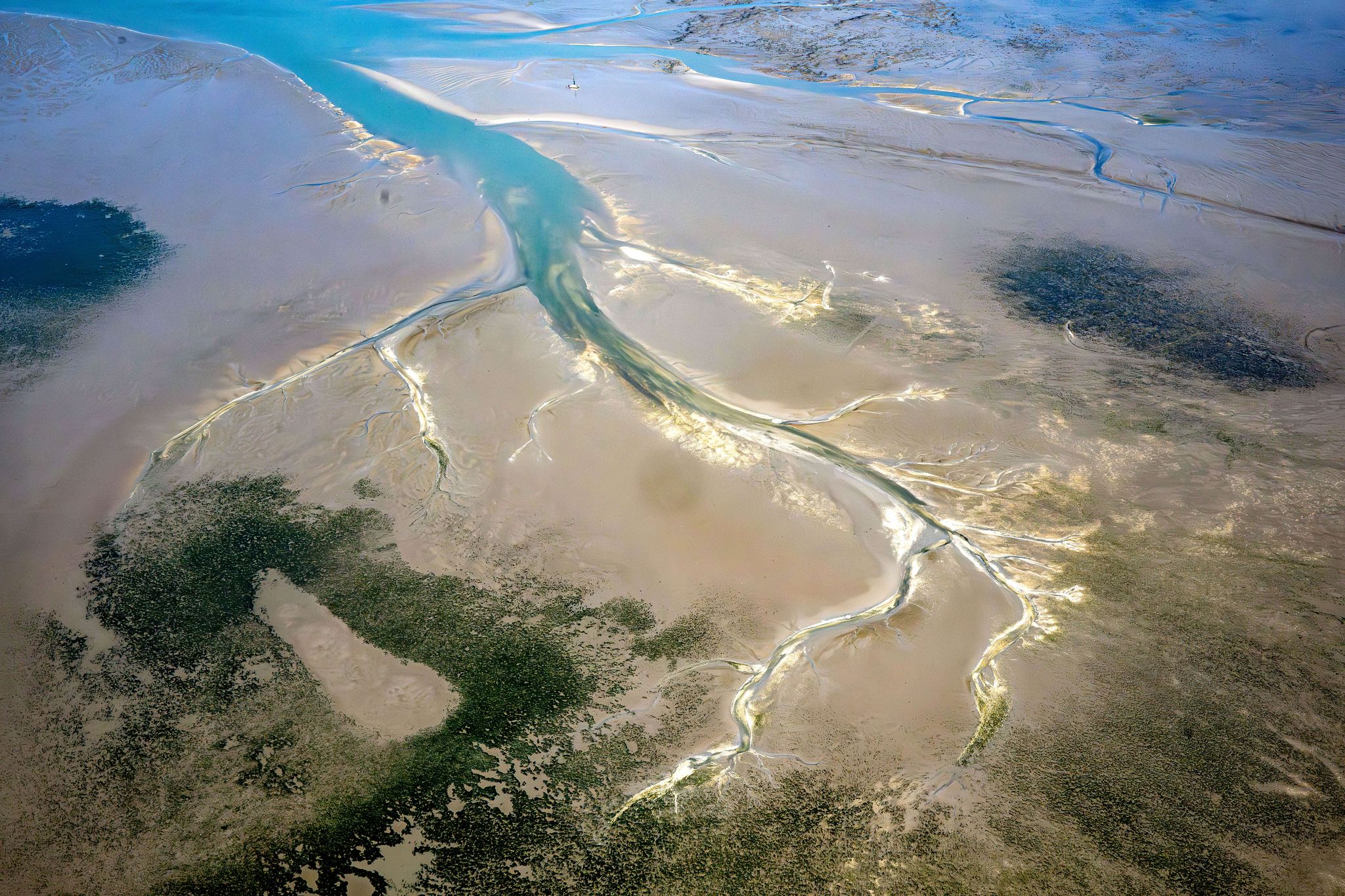 Veränderung der biologischen Vielfalt im Wattenmeer