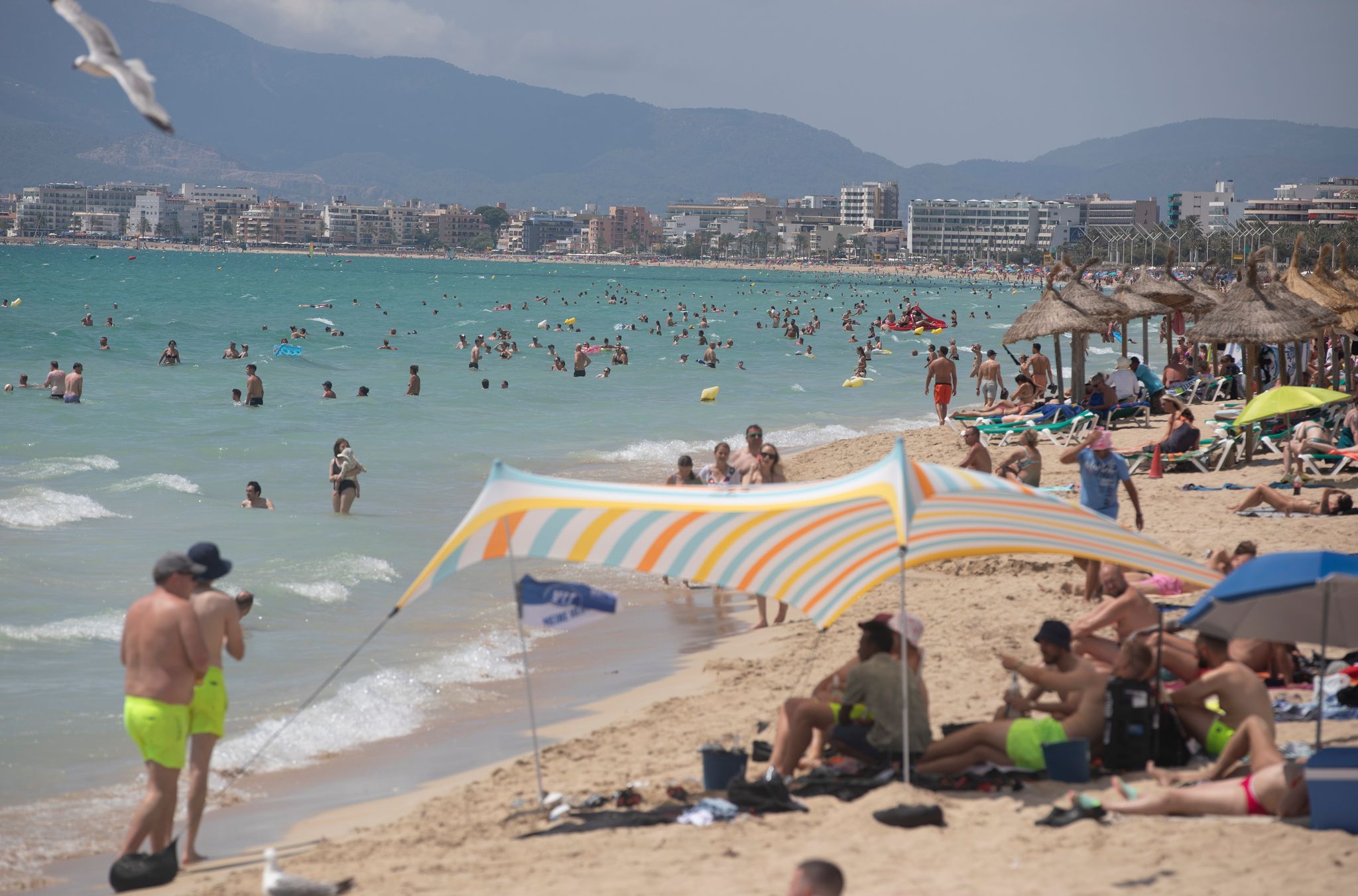 Vermeintlicher Hai-Angriff an Playa de Palma auf Mallorca führt zu Badeverbot