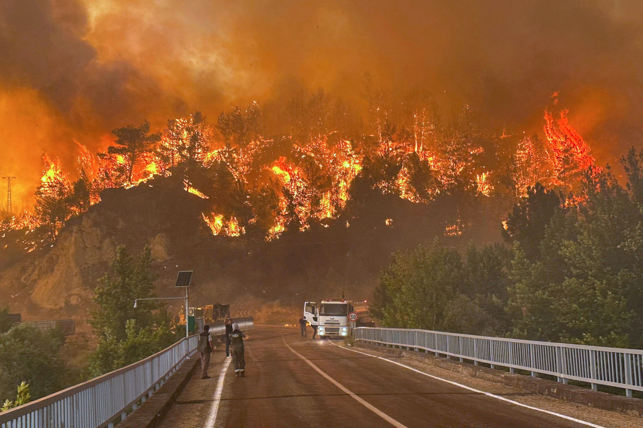 Massive Waldbrände in der Türkei bedrohen Wohngegenden
