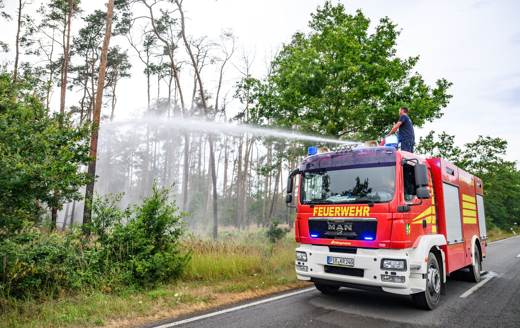 Entwarnung nach Waldbrand in Thüringen,Regen sorgt für Entlastung – Evakuierung aufgehoben – Brandursache wird ermittelt.