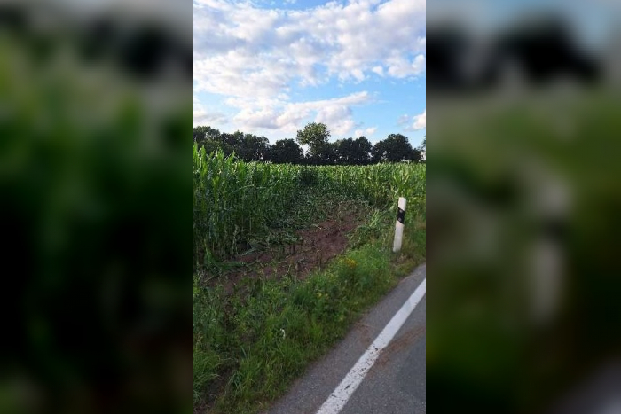 Sögel: Verkehrsunfall im Maisfeld – Zeugen gesucht