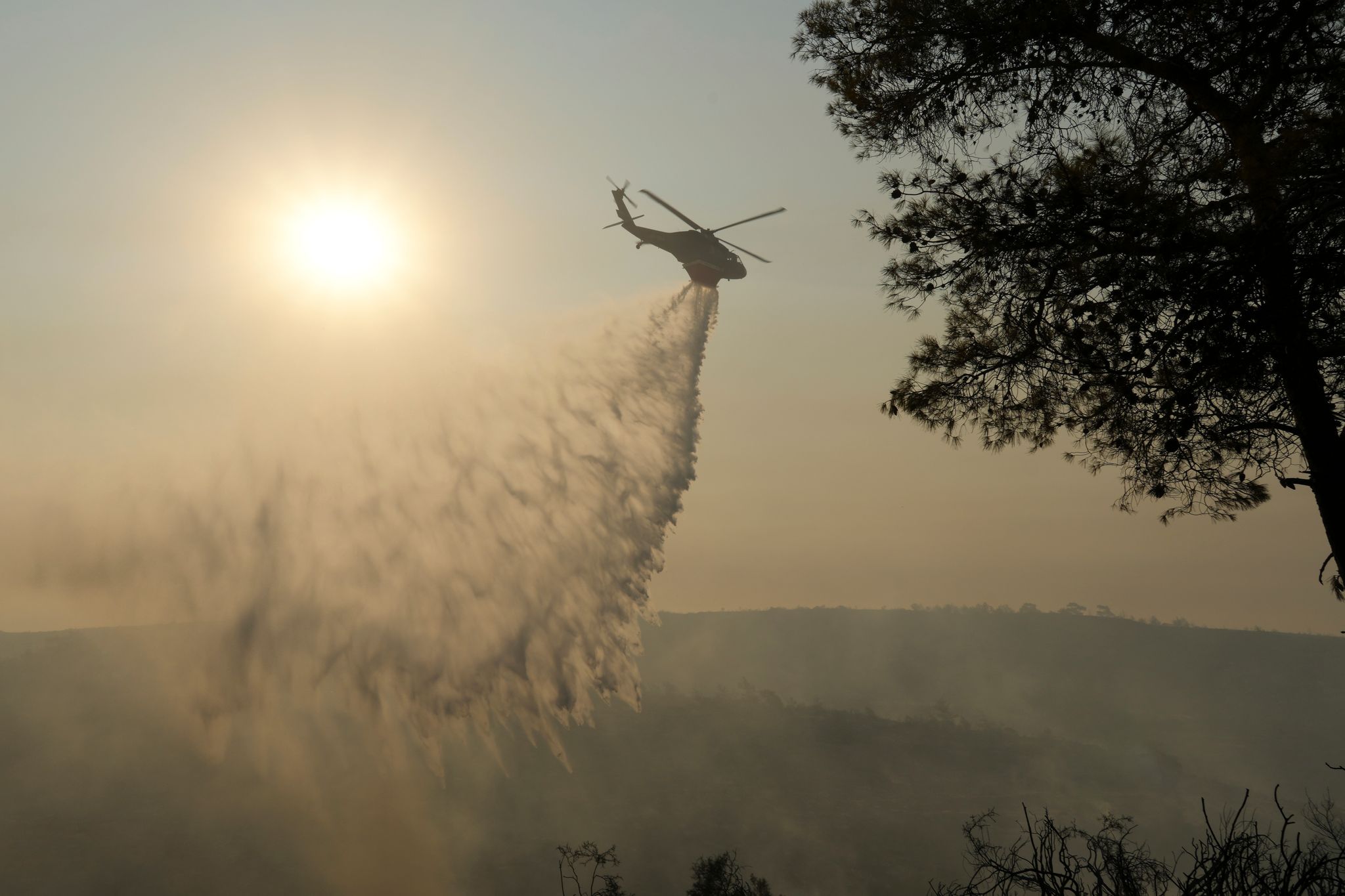 Verheerender Waldbrand in Zypern fordert zwei Menschenleben