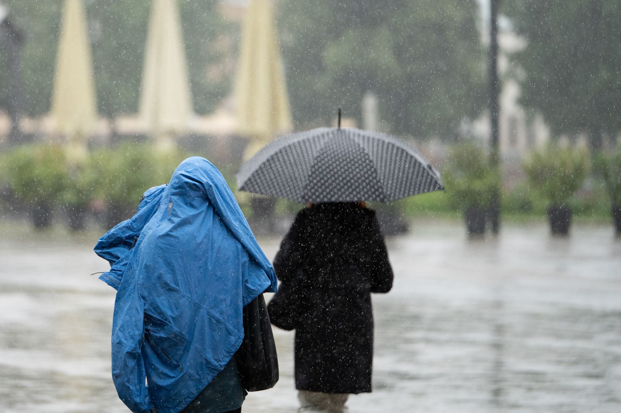 Ungemütlicher Juli: Sturm an der Nordsee und Starkregen am Alpenrand