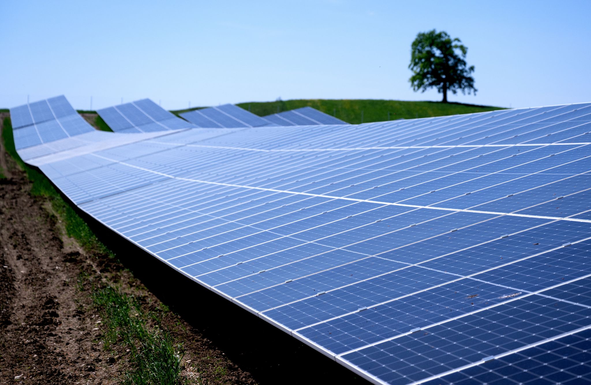 Solar-Ausbauziel für 2030 zur Hälfte erreicht