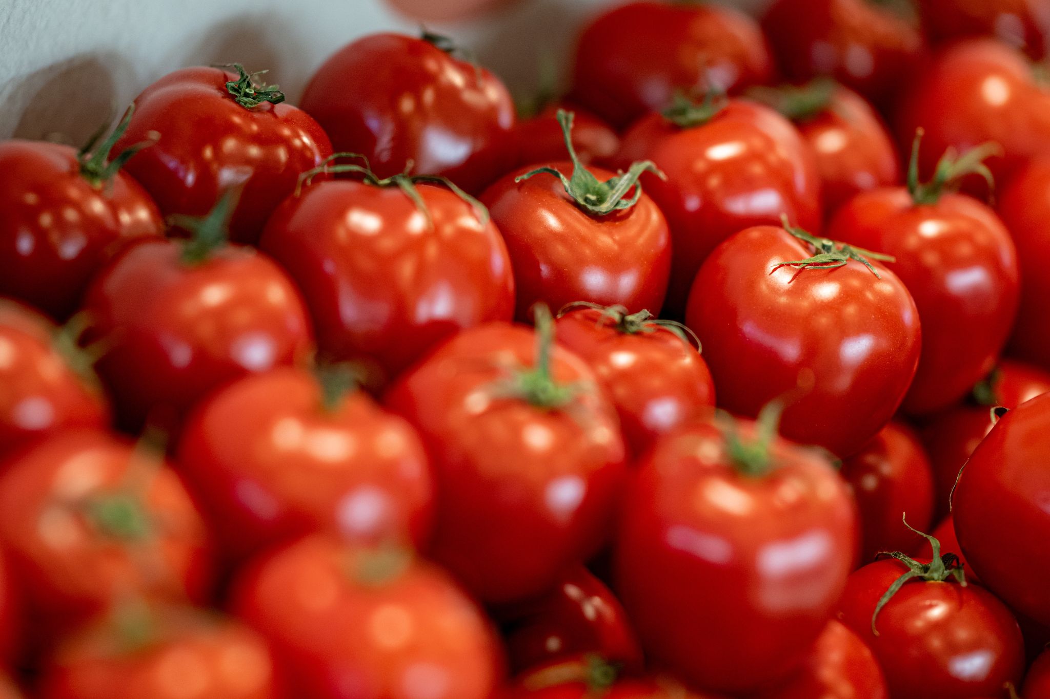 Geringerer Tomatenverbrauch in Deutschland