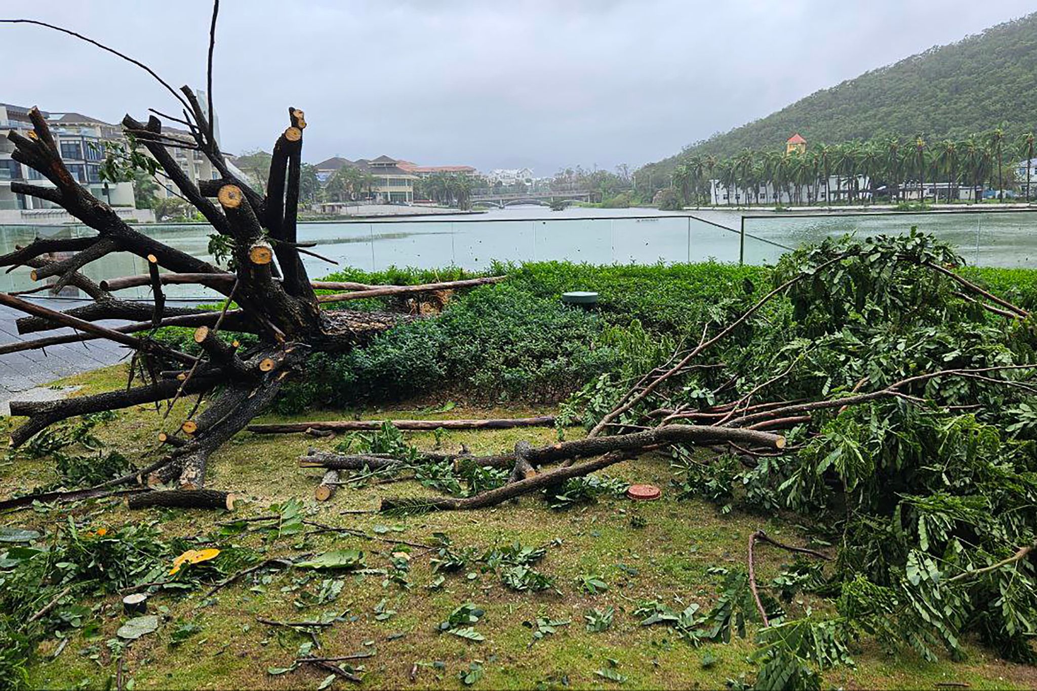 Taifun «Kajiki» wirbelt auf Vietnam zu – Schäden auf Hainan