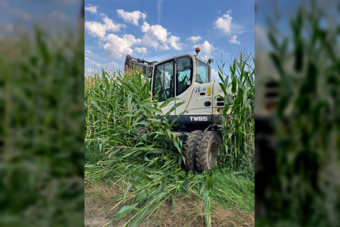 Hauptschwenda: Diebstahl von Rüttelplatte und Schaden mit Bagger
