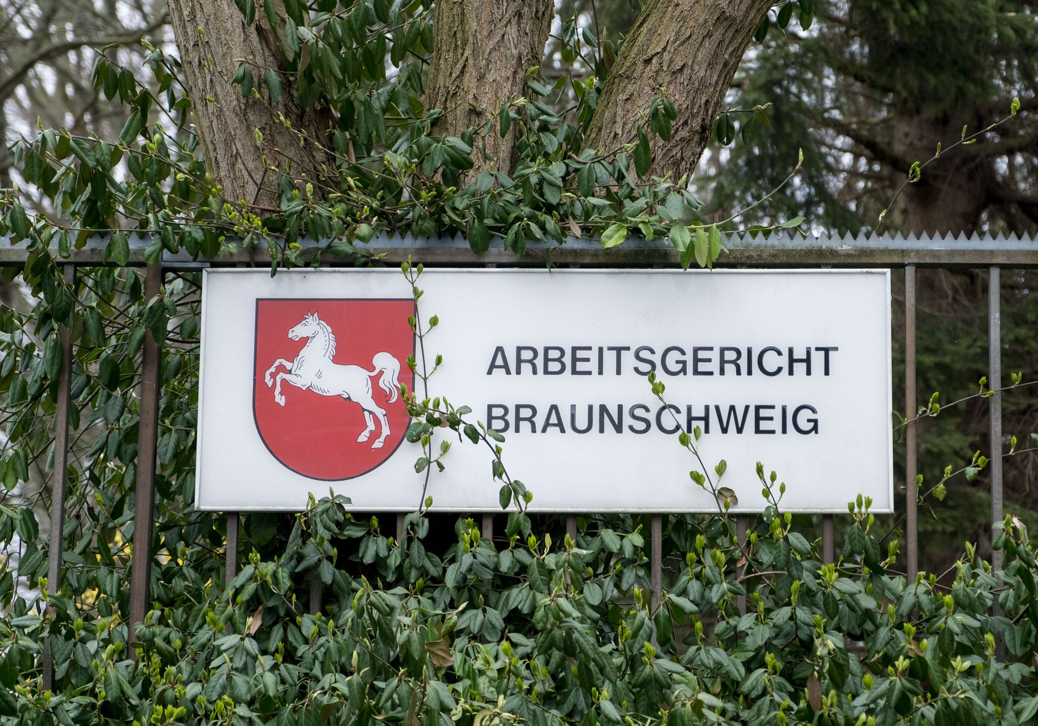 Zugang zu VW-Werk verwehrt: AfD-nahe Arbeitnehmerorganisation Zentrum scheitert vor Gericht