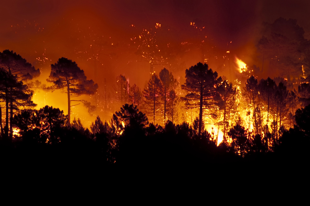 Evakuierung am Urlaubsparadies – Flammenhölle in Spanien und Frankreich!