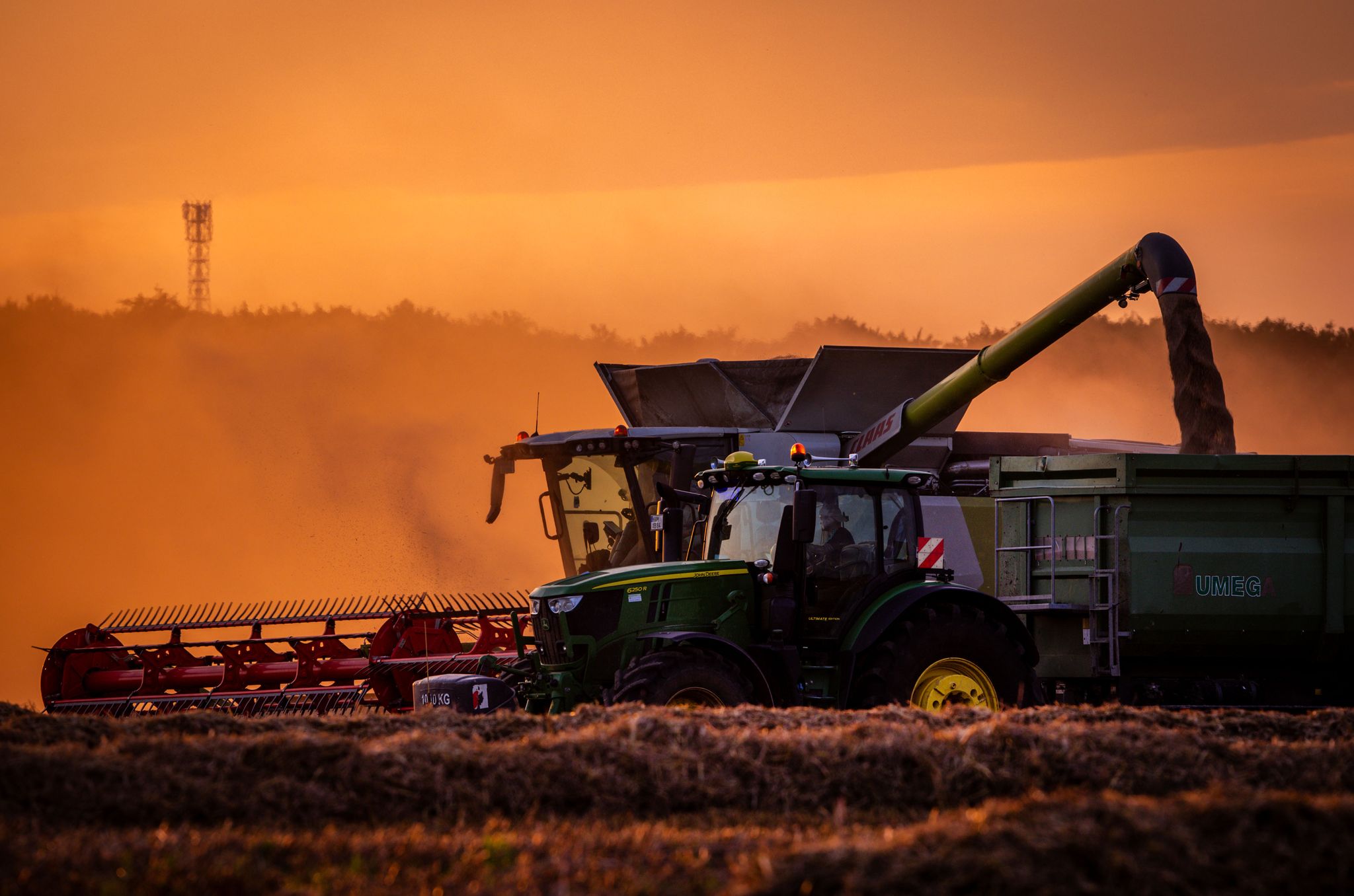 Rekordernte für deutsche Landwirte erwartet