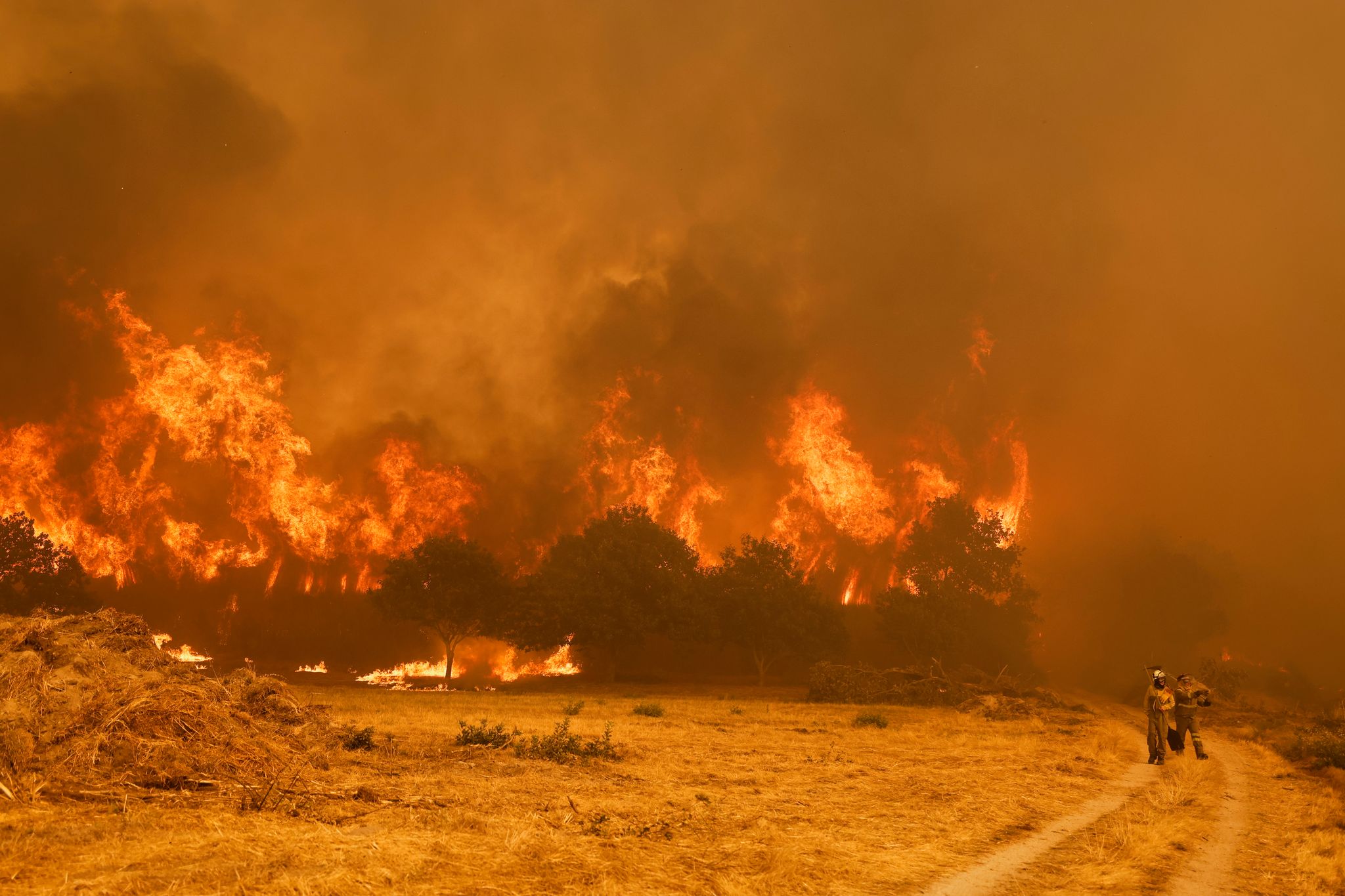 Spanien kämpft gegen verheerende Waldbrände
