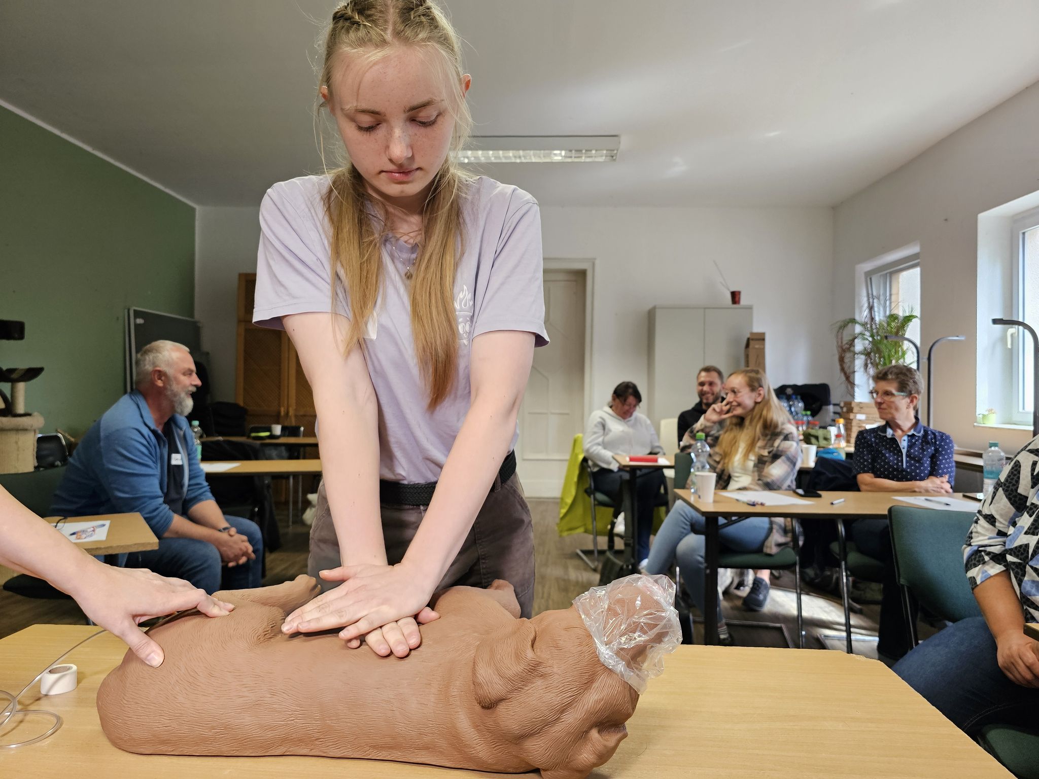 Herz-Druck-Massage beim Hund will gelernt sein