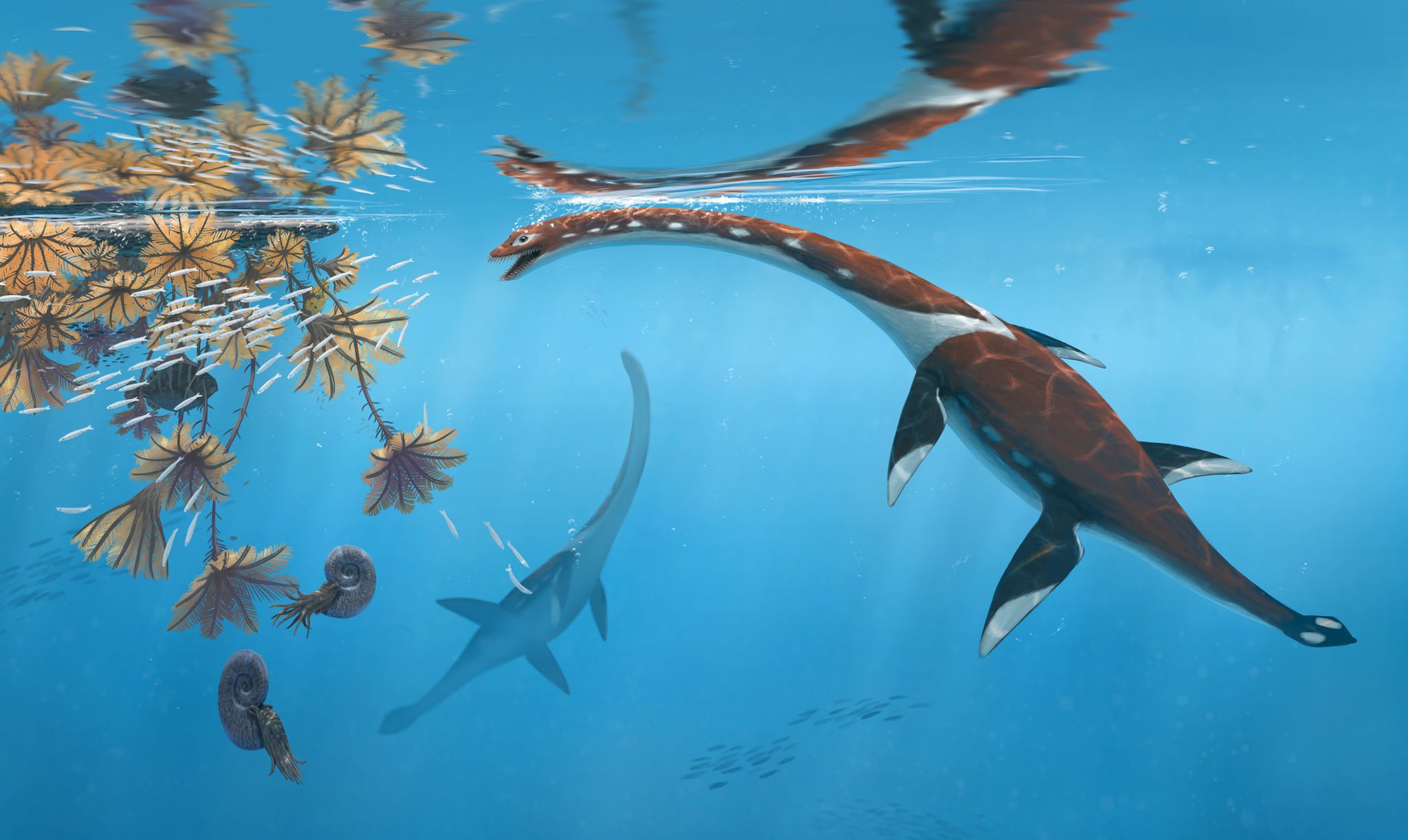 Forscher präsentieren urtümliches Meeresreptil aus Dino-Zeit