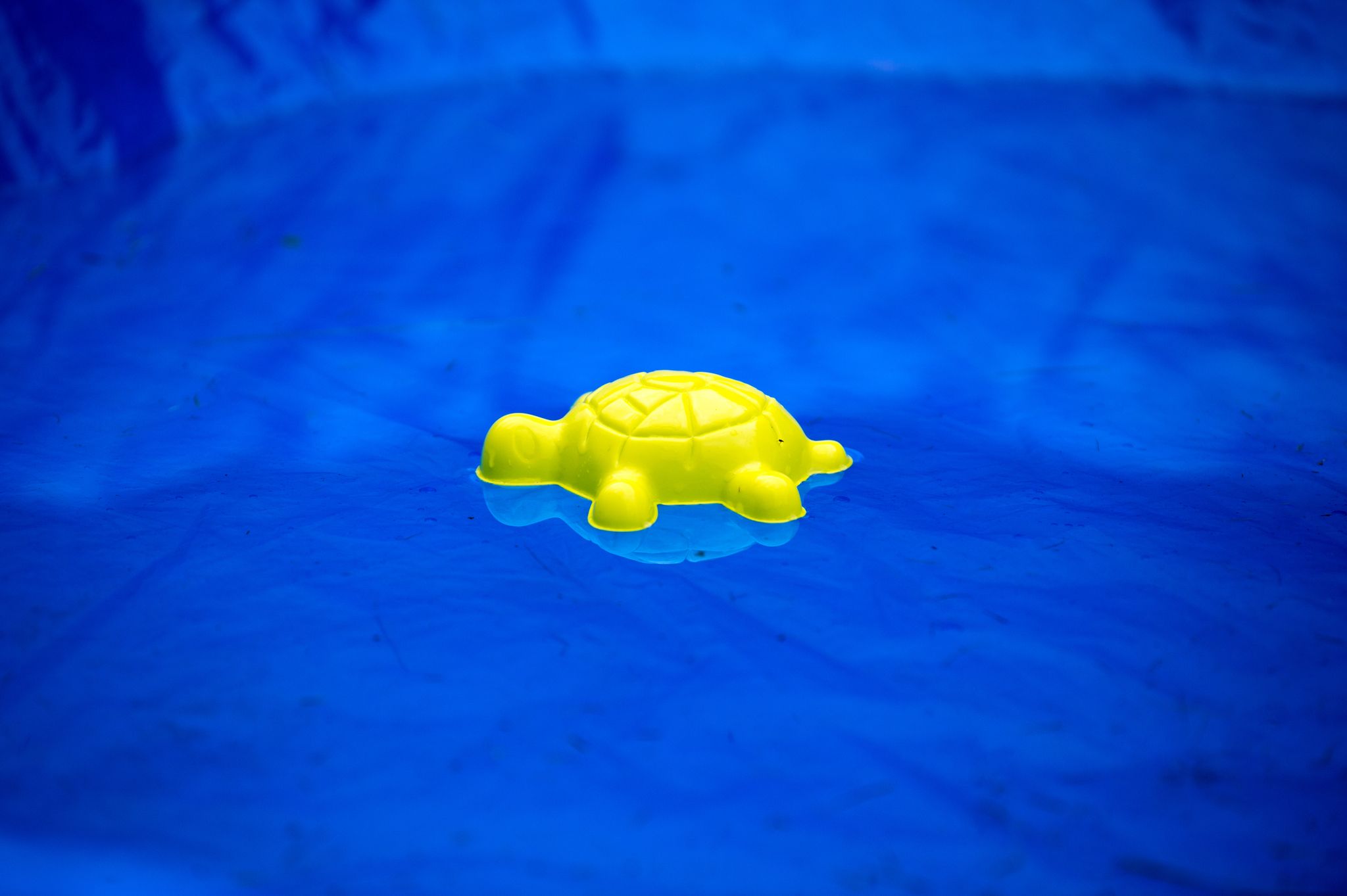 Zwei vermisste Kinder tot in Pool in Frankreich gefunden