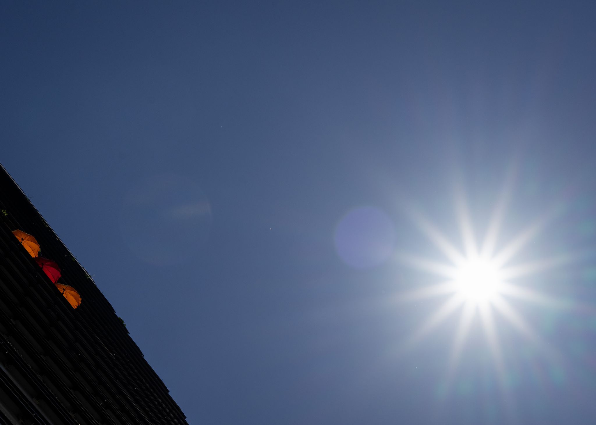 Temperaturen bis zu 38 Grad erwartet