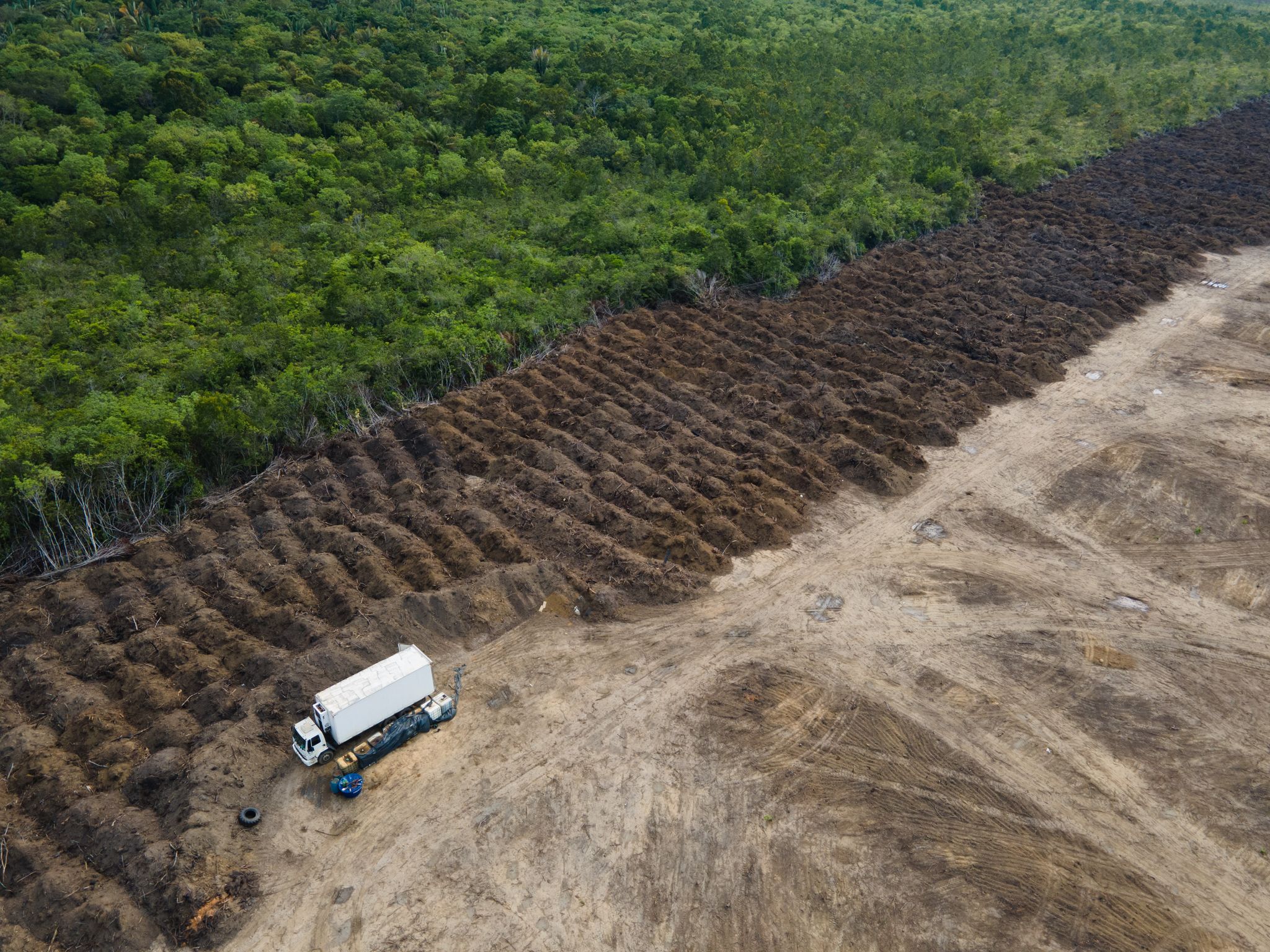 Verlust von Naturflächen in Brasilien steigt dramatisch an