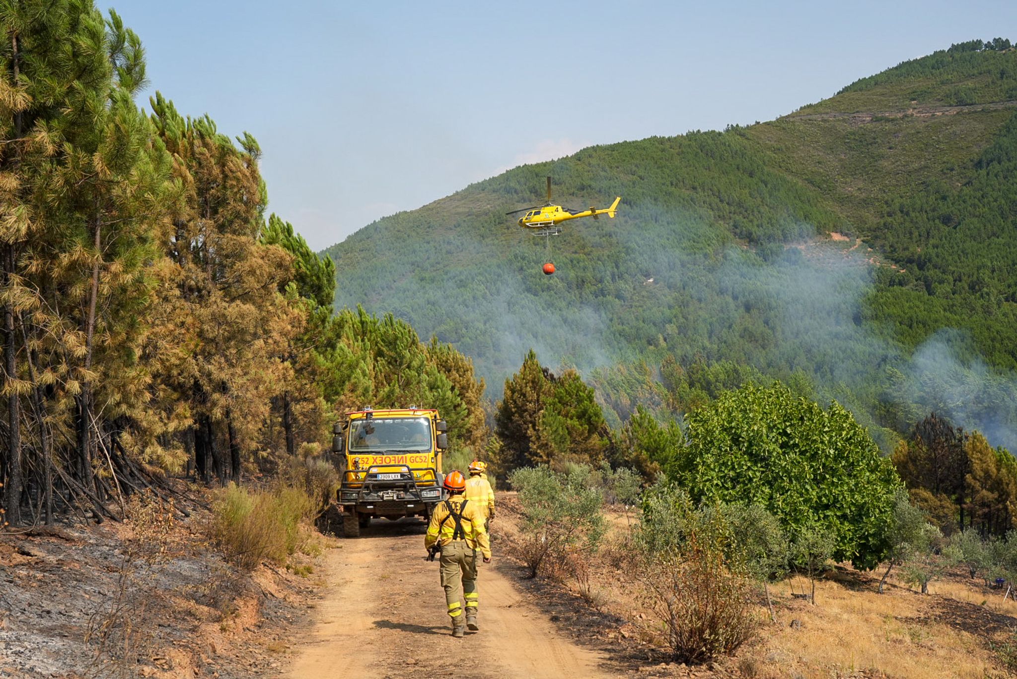 Feuerwehrleute kämpfen gegen verheerende Waldbrände in Südeuropa und der Türkei