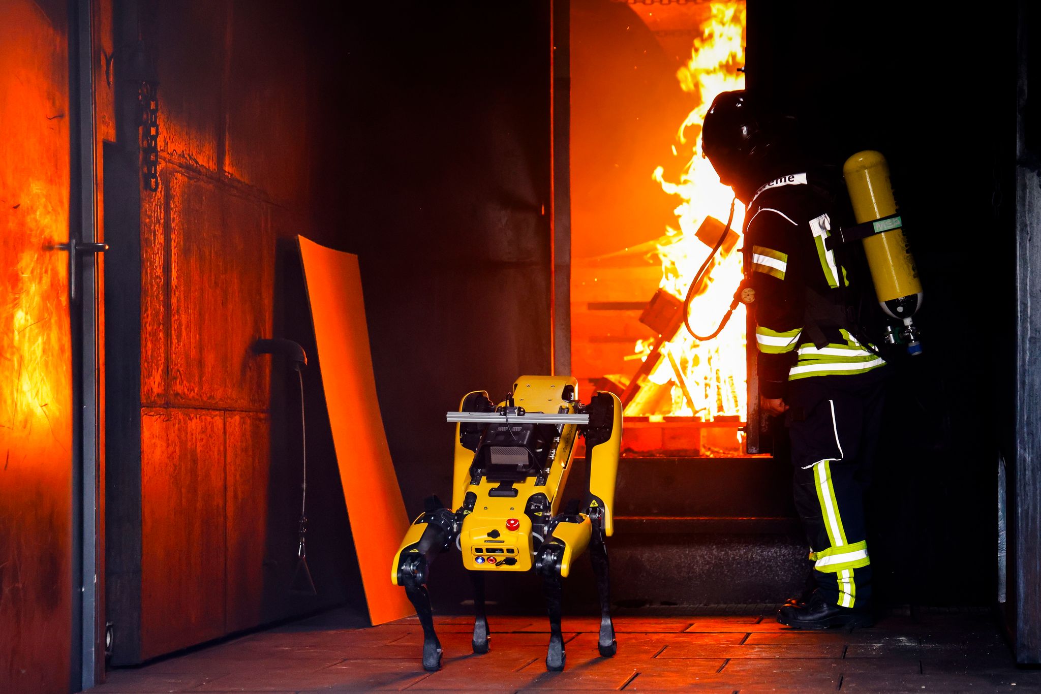 Autonome Roboter sollen Waldbrände bekämpfen