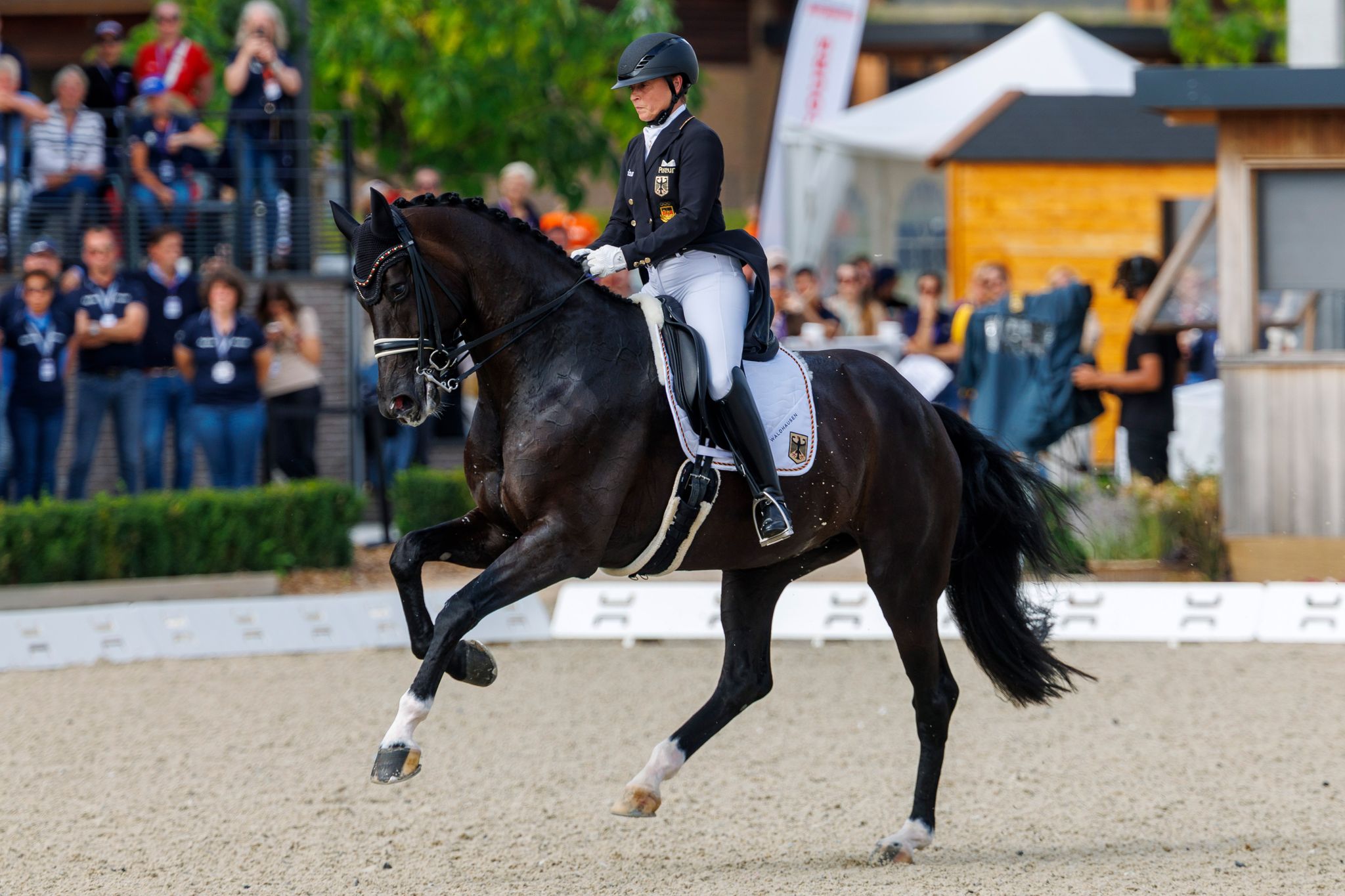 Werth scheitert bei Dressur-EM erneut am 10. Einzel-Gold