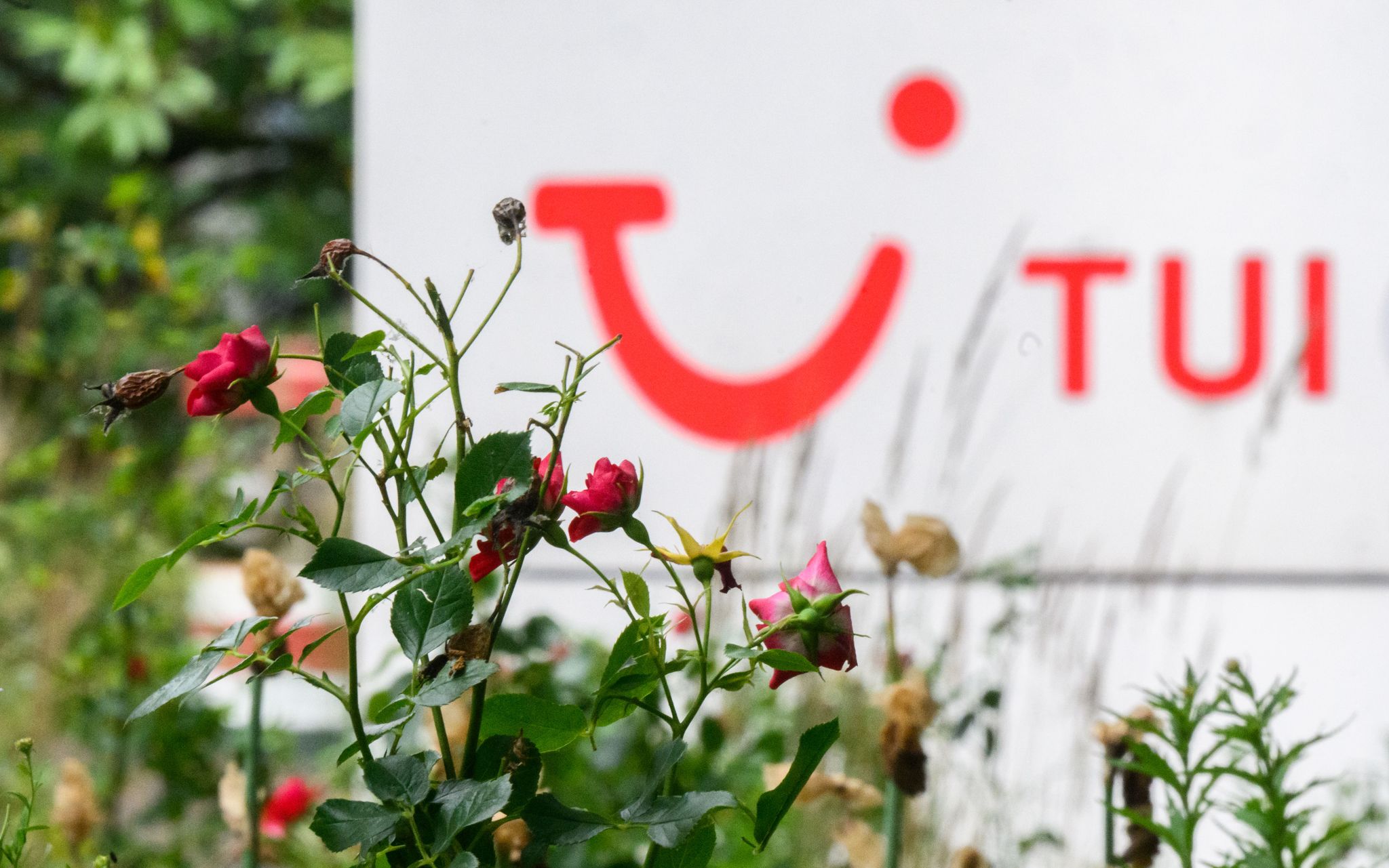 Tui verzeichnet Rekordergebnis im dritten Quartal