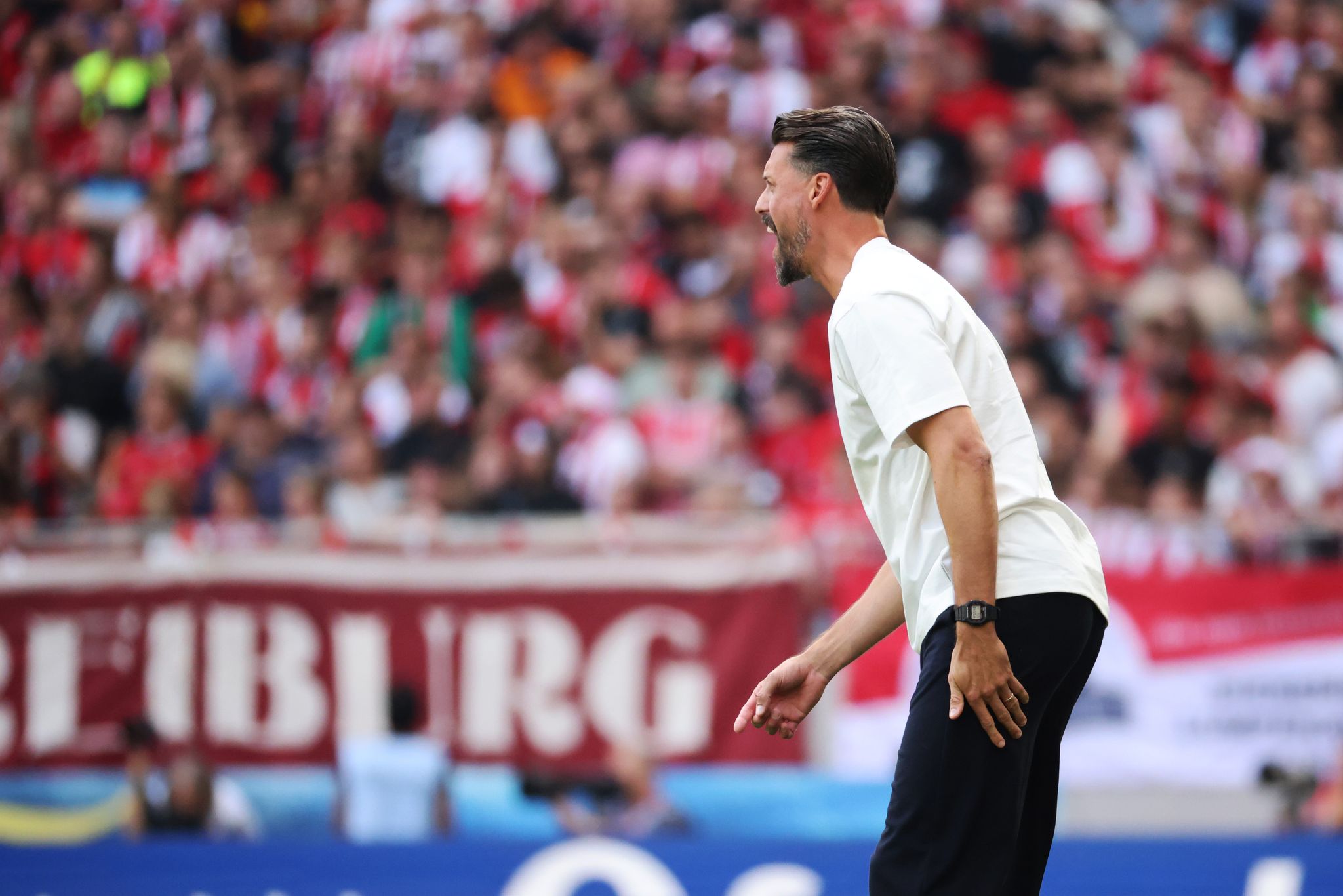Debütant Sandro Wagner siegt mit FCA gegen Freiburg