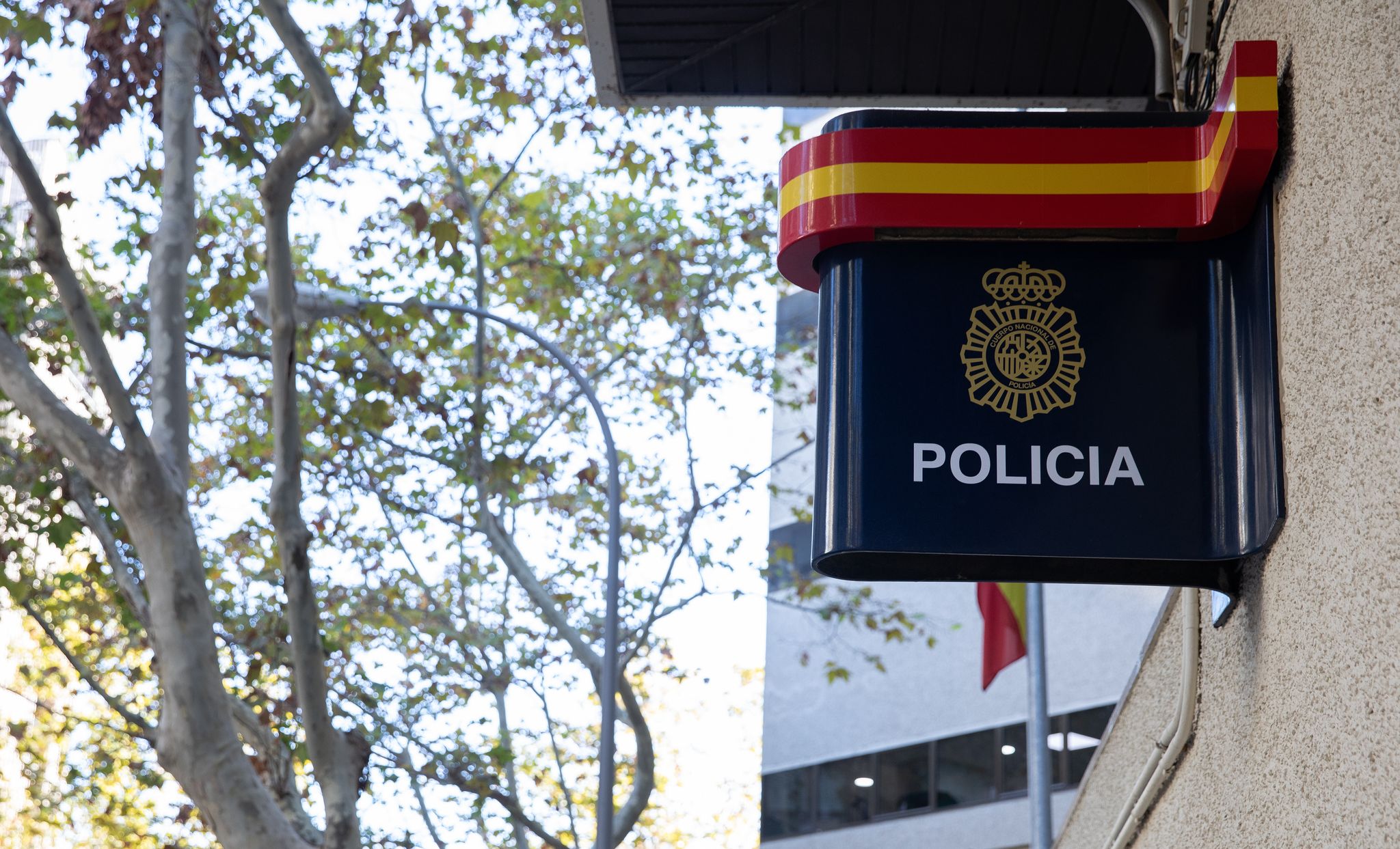 Deutscher in Palma wegen sexueller Belästigung festgenommen