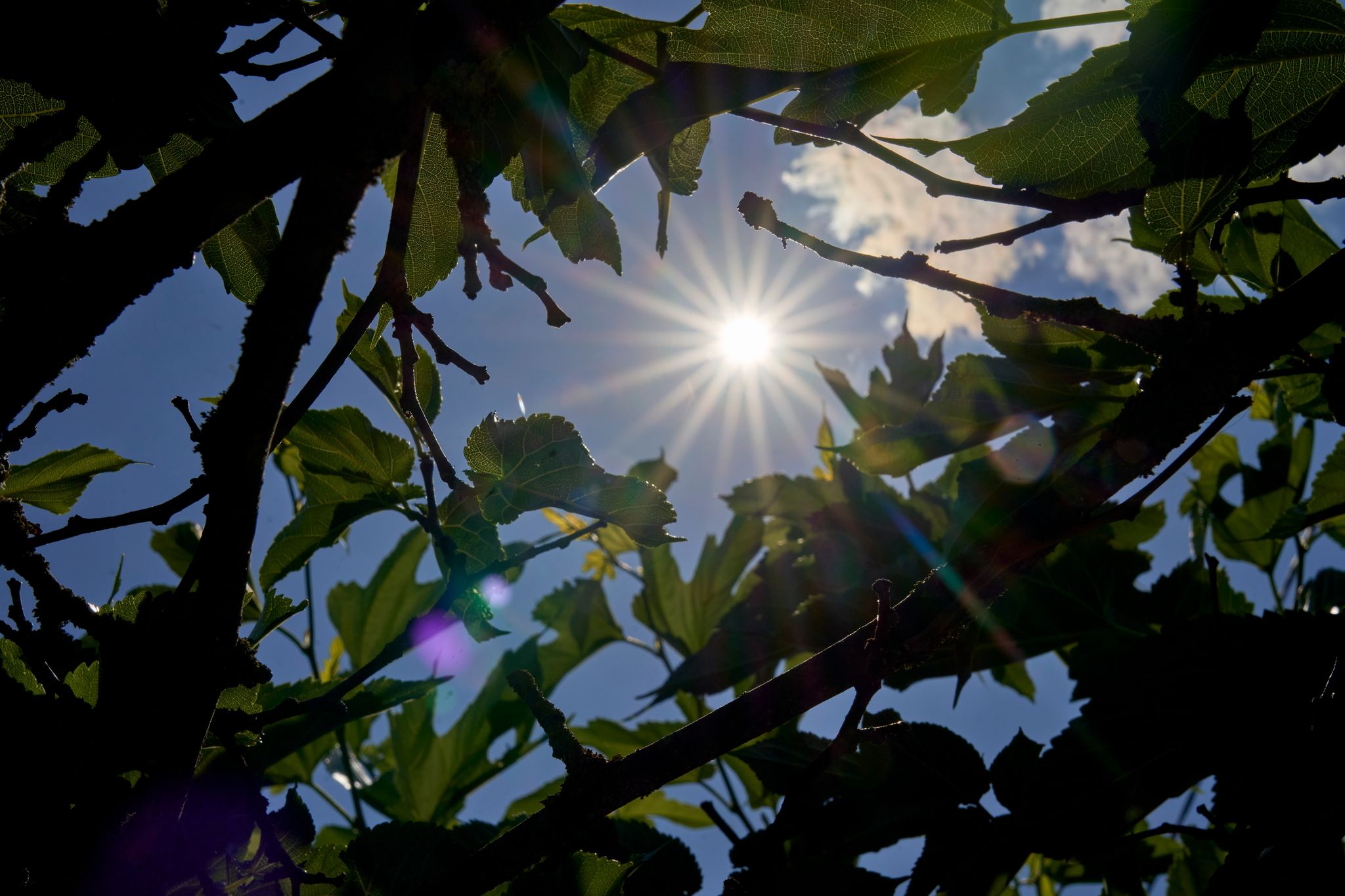 Der Sommer kehrt zurück