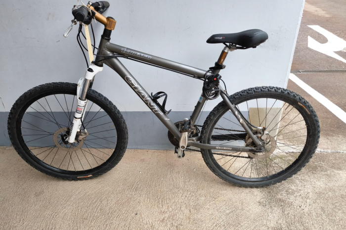 Nordhausen: Mountainbike Diebstahl im Wohngebiet