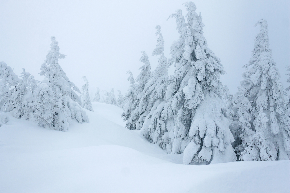Schocktober! Ab Mittwoch drohen Frost und erste Schneeflocken in Deutschland