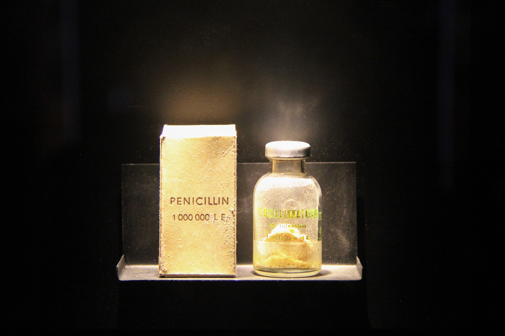 Penicillin: Wie eine Schimmel­kultur die Medizin revolutionierte
