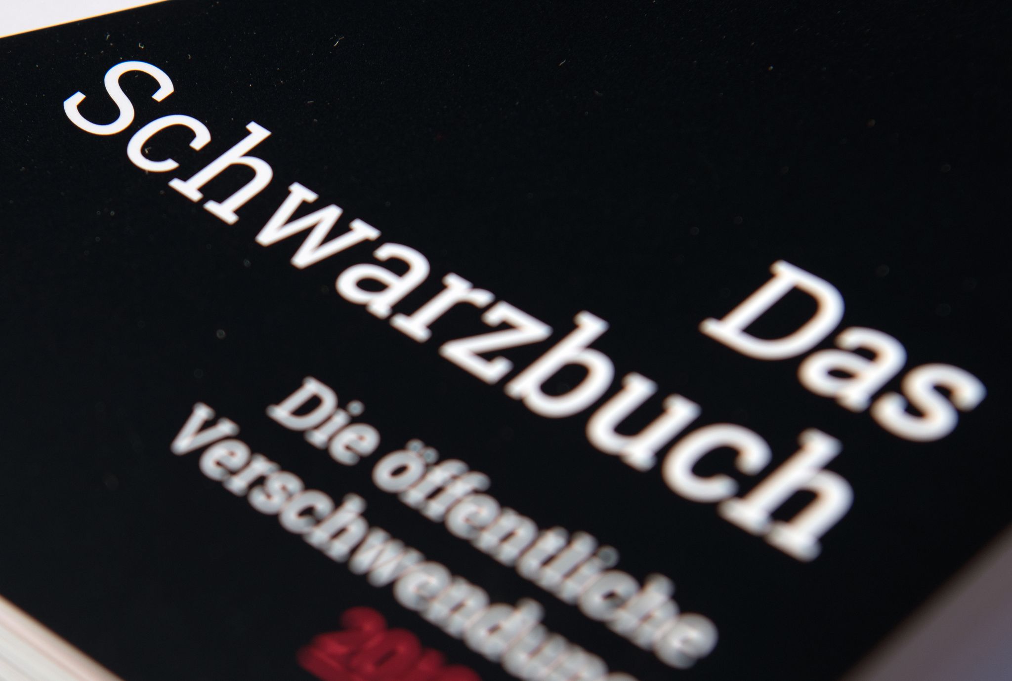 Steuerzahler-Schwarzbuch: Brücke ins Nichts und teure Tiere