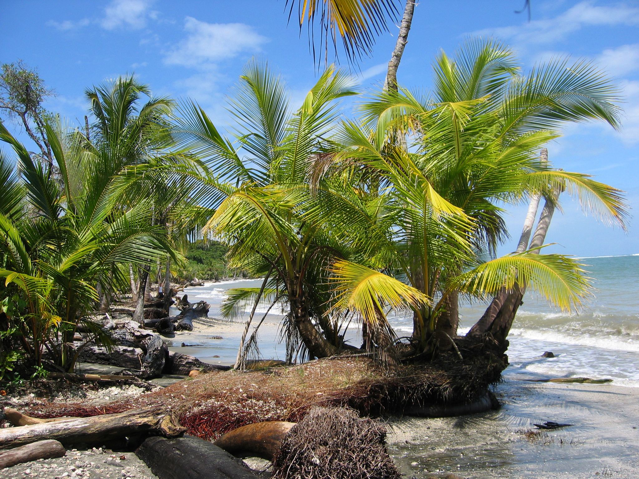 Mutmaßlich zwei Deutsche in Costa Rica tot aufgefunden
